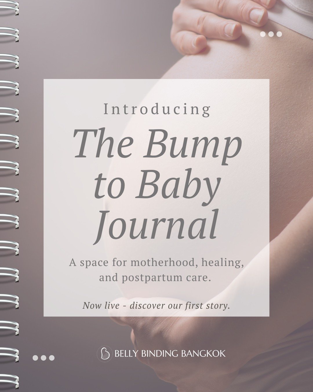 I&rsquo;m so excited to share something new with you all &mdash;

✨ The Bump to Baby Journal ✨
a space on my website where I&rsquo;ll be sharing postpartum care tips, prenatal wellness, client stories, and everything in between 💕

This journal is al