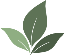 Three green leaves with visible veins on a black background.