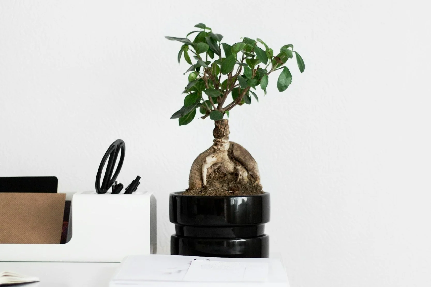 The Accounting Equation