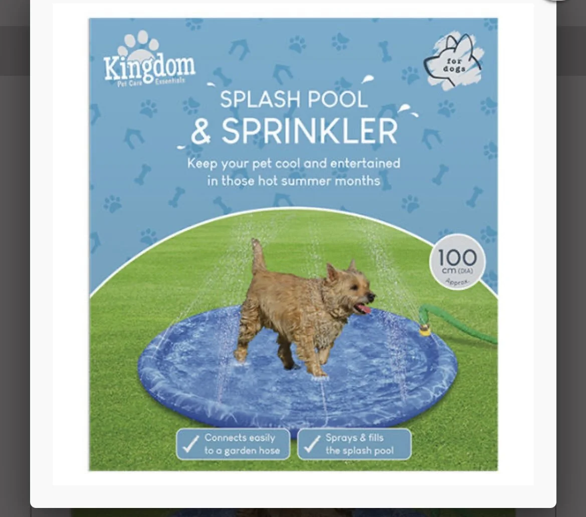Dog splash pool & sprinkler
