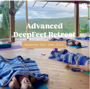 Ashiatsu DeepFeet Bar Therapy