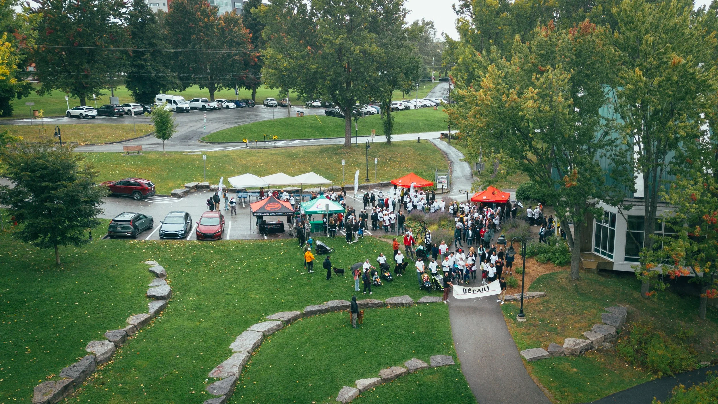 DJI_0236-1.jpg