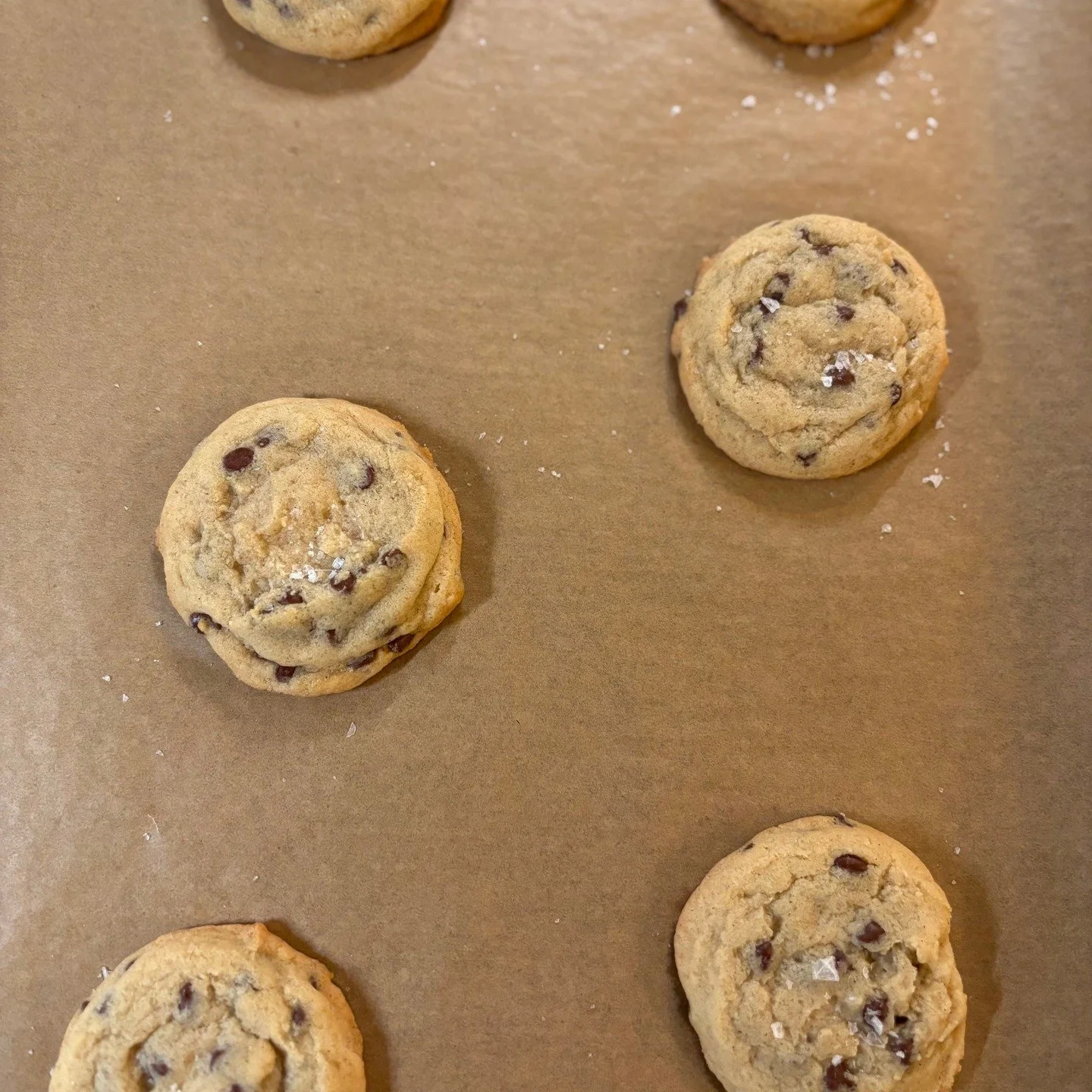 "Testing" some Dairy Free Chocolate Chip Cookies for this weekend. 

These little babies will be sold in packs of 5 (as if that'll be enough) at the shop Friday-Sunday 8am-6pm. 

See you Friday!

#bakery #microbakery #womanowned #allergyfri