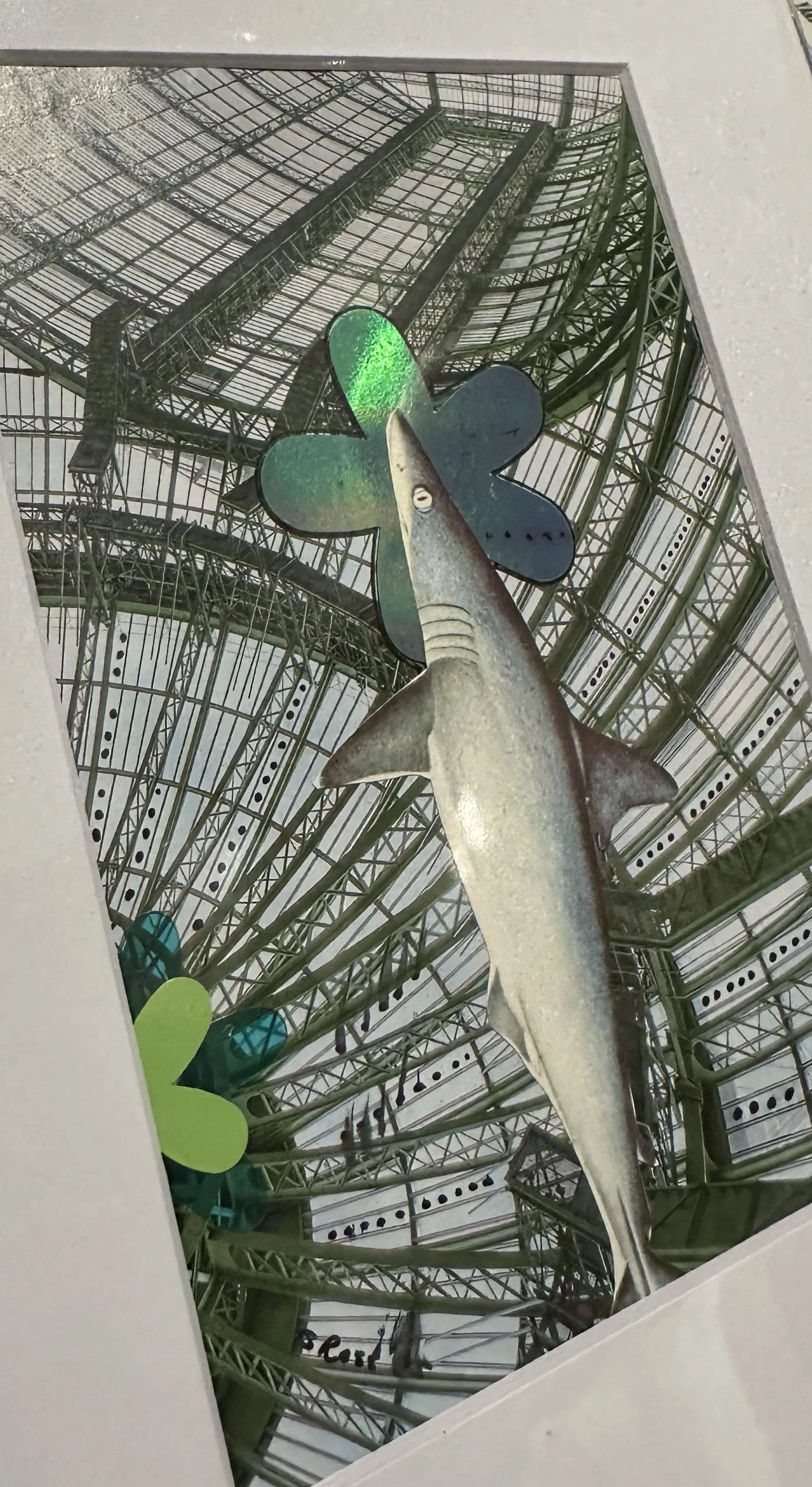 industrial shark 3.jpg