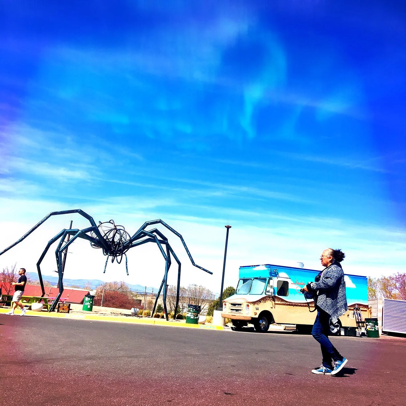 Along Came A Spider
