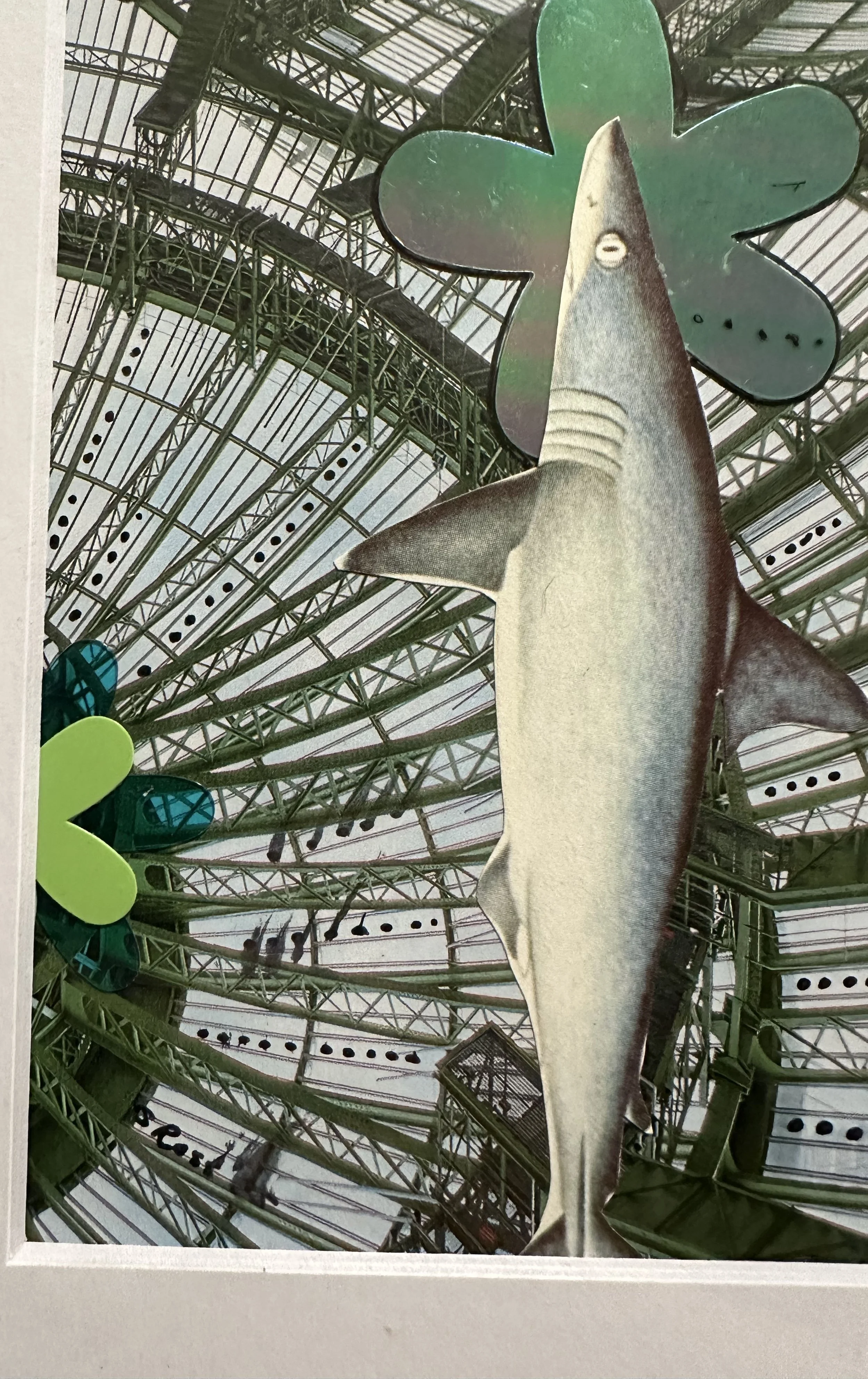 industrial shark 2.jpg