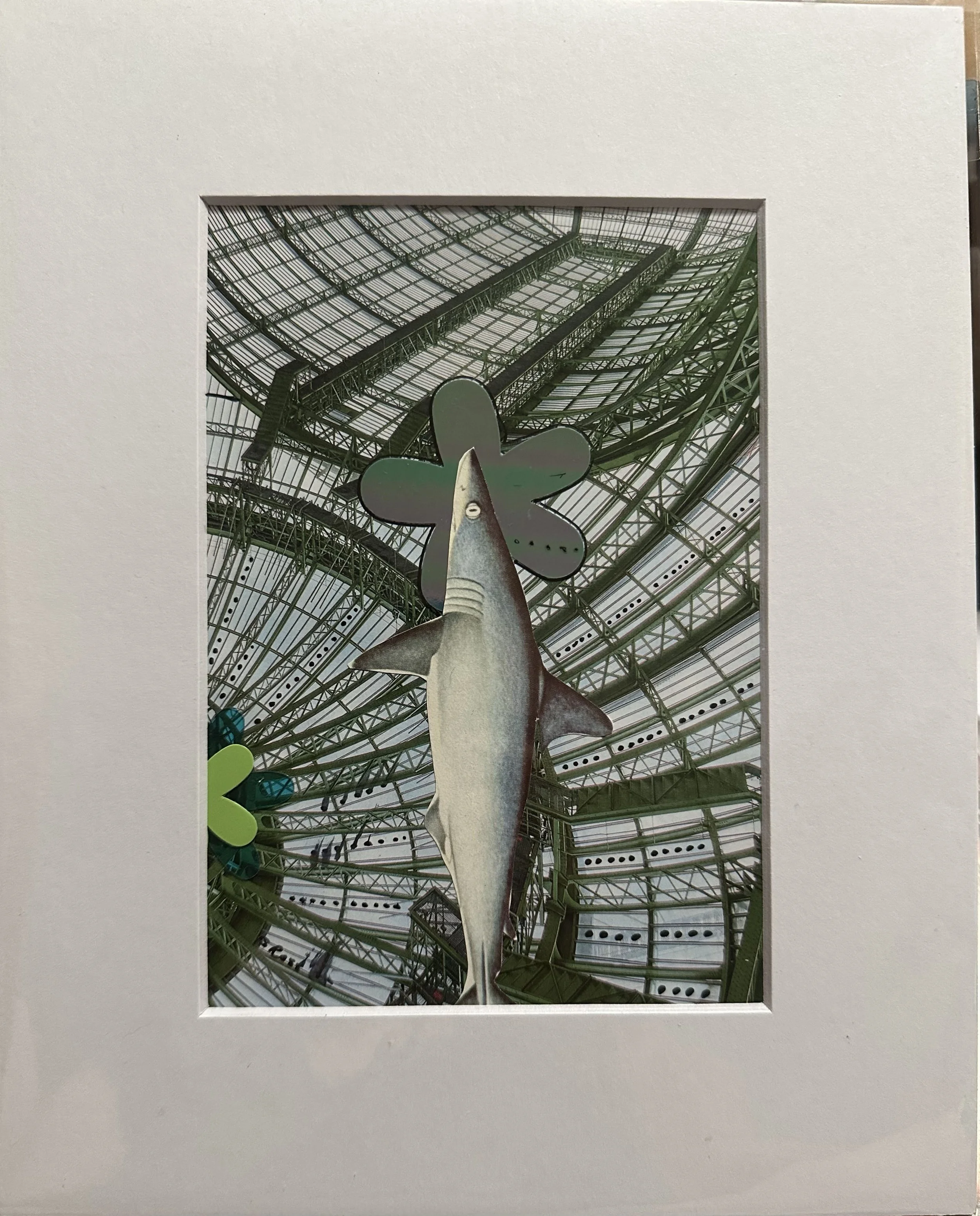 industrial shark 1.jpg