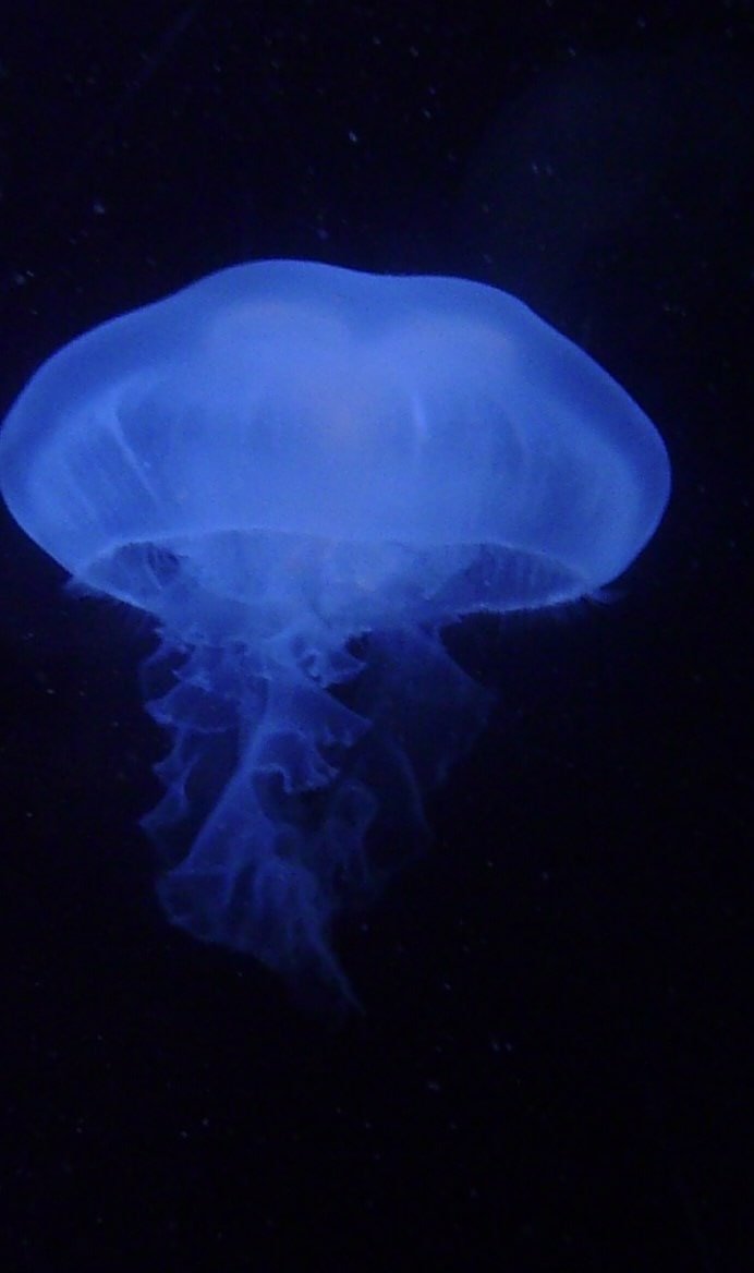 P1110453 - Erin Frank.jpg