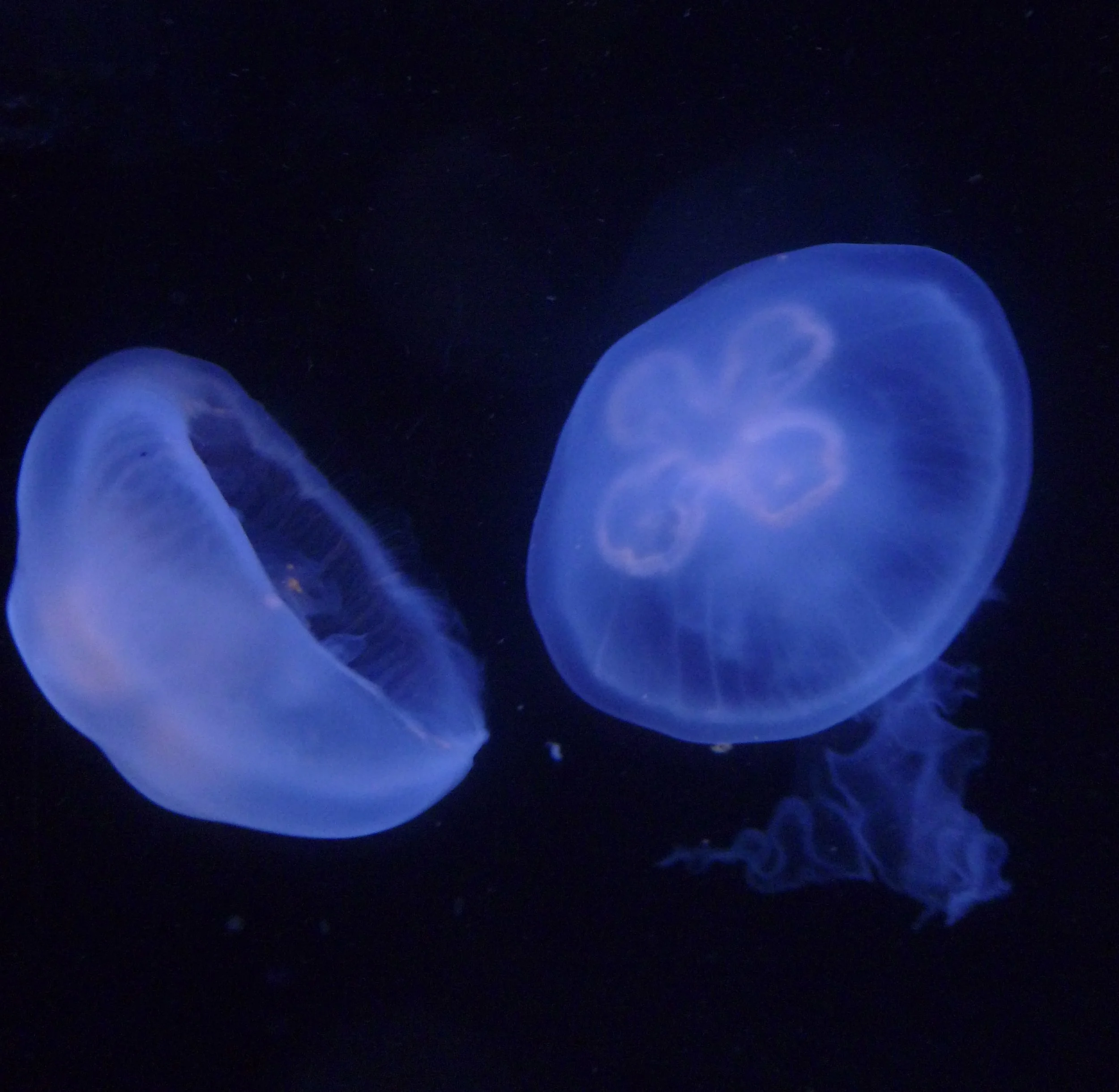 P1110582 - Erin Frank.jpg