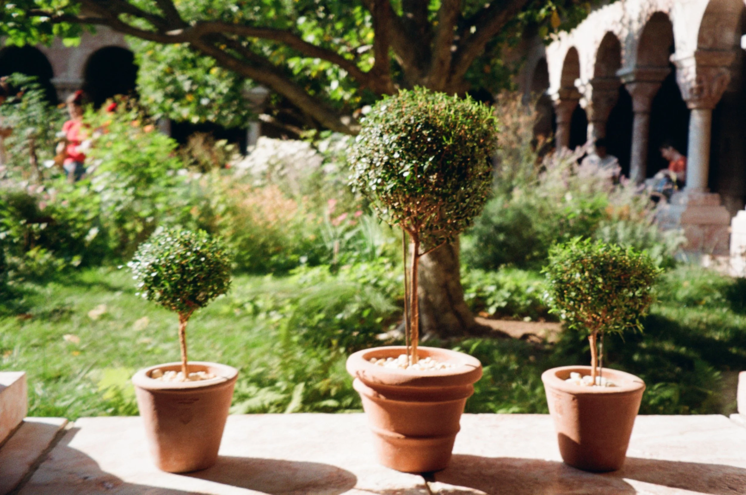 IMG_7871 - Erin Frank.jpeg