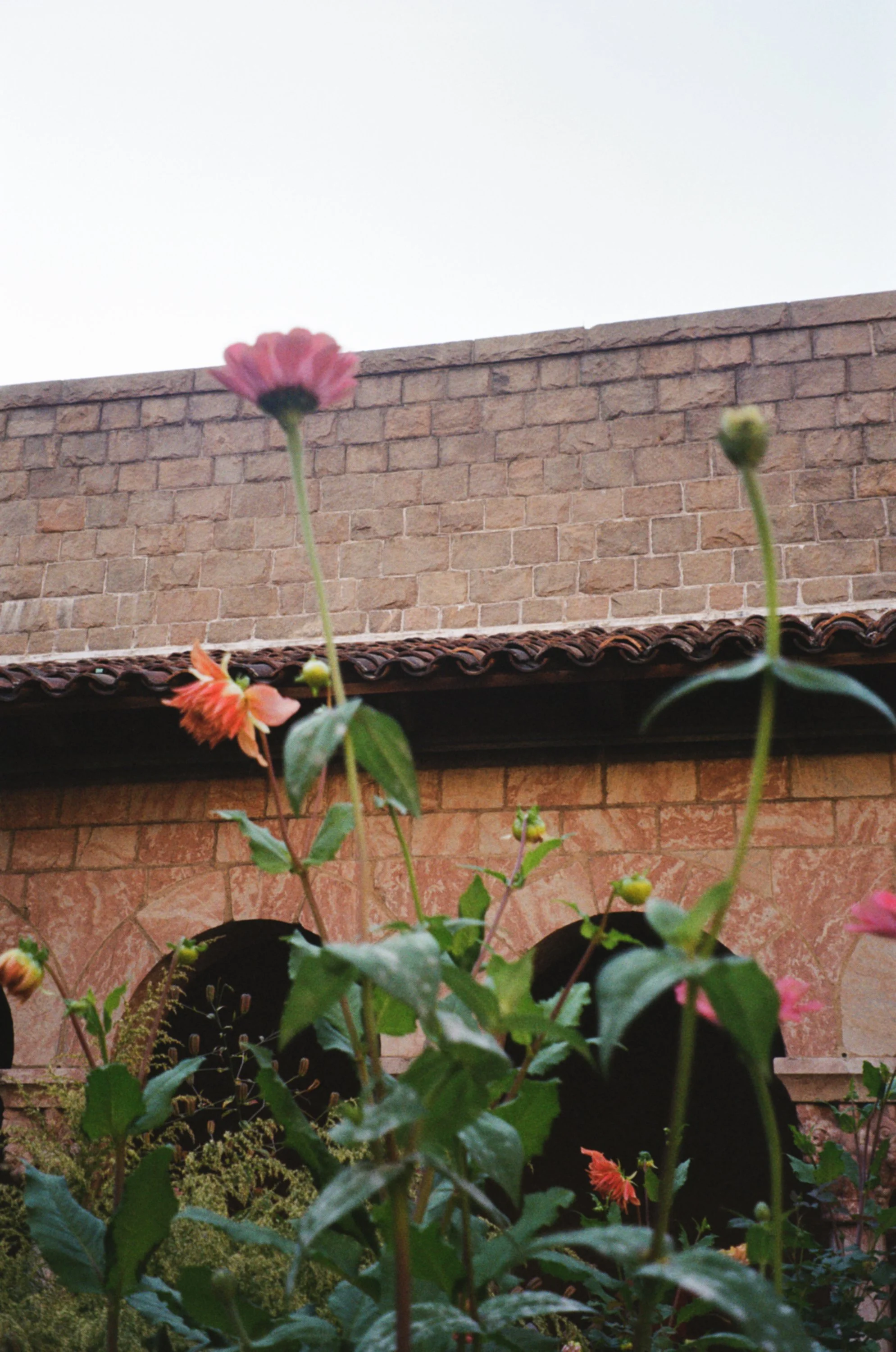 IMG_7898 - Erin Frank.jpeg