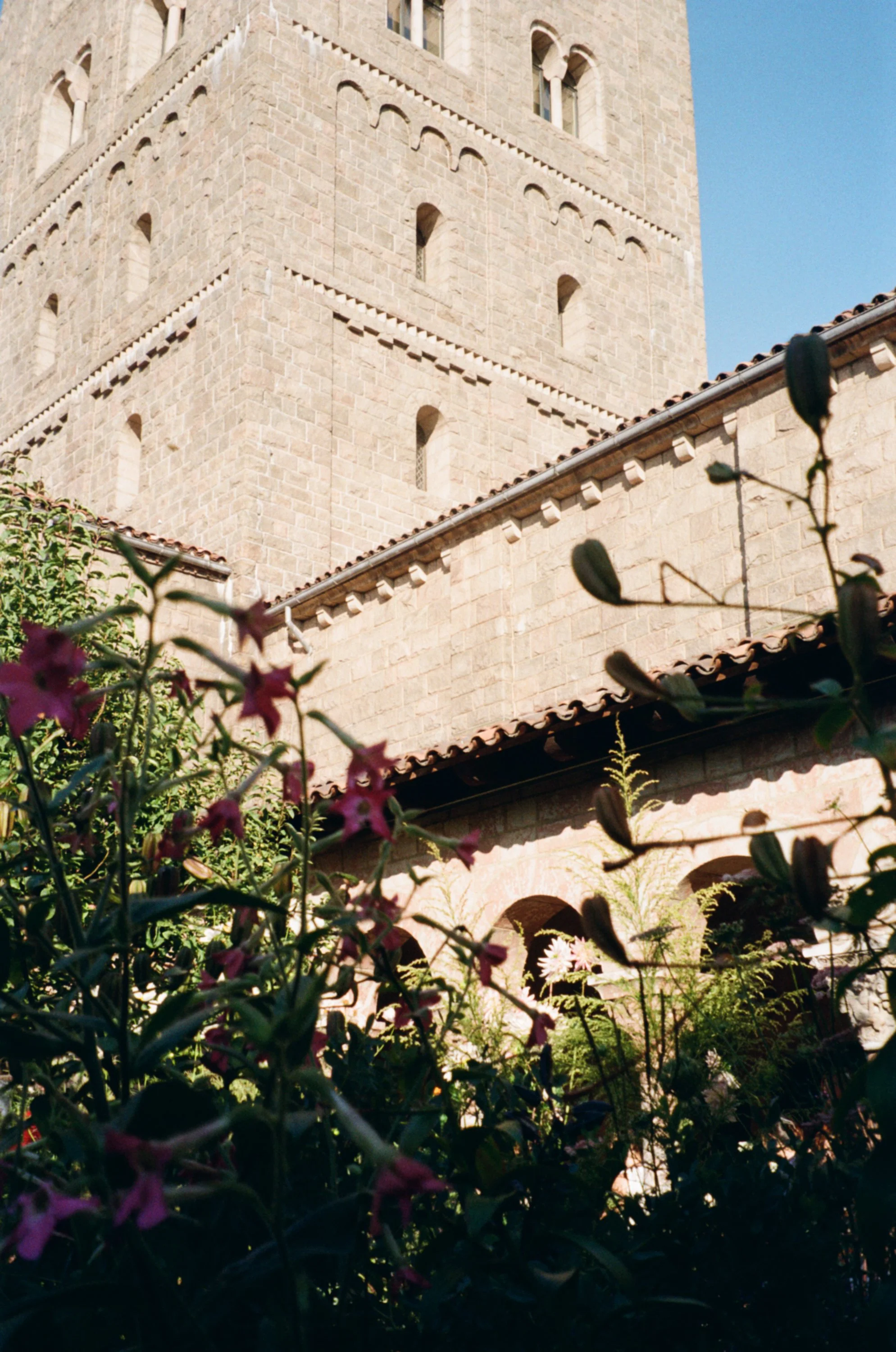 IMG_7902 - Erin Frank.jpeg