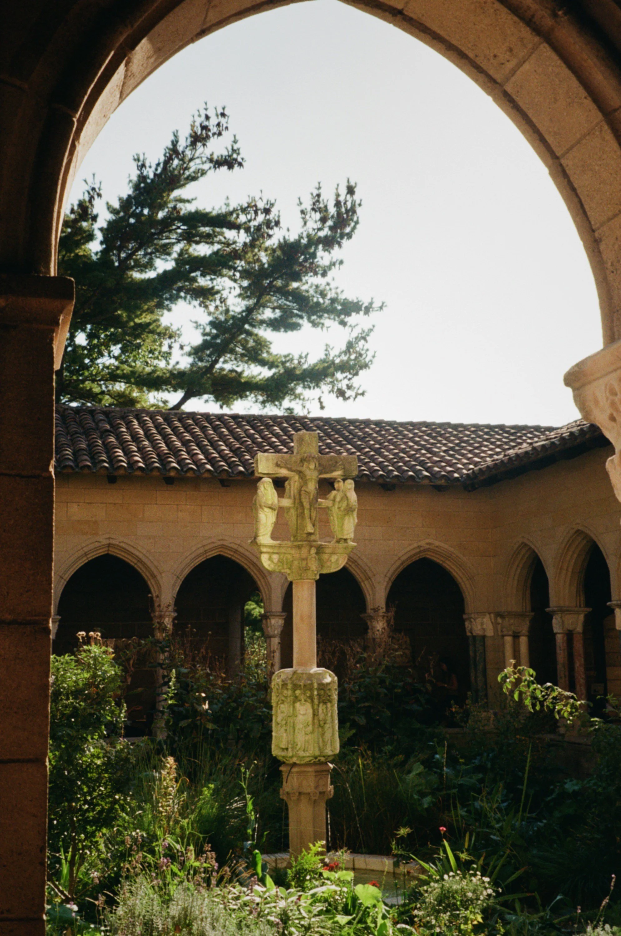 Met Cloisters on Film