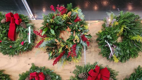 Christmas Trees, business photo 4