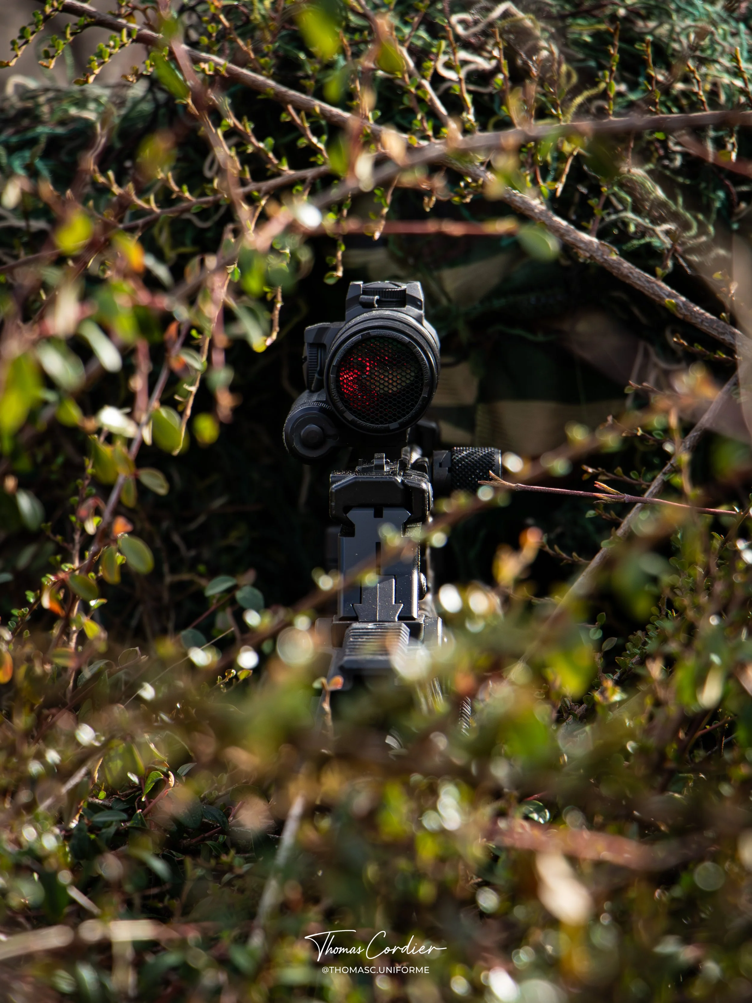 IMG_49602-Avec accentuation-Bruit-LT.jpg