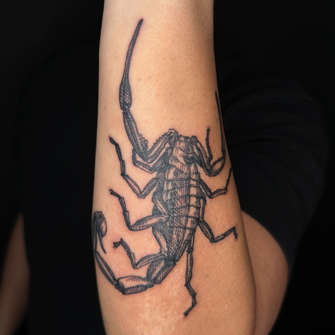 custom crosshatching scorpion tattoo on the forearm