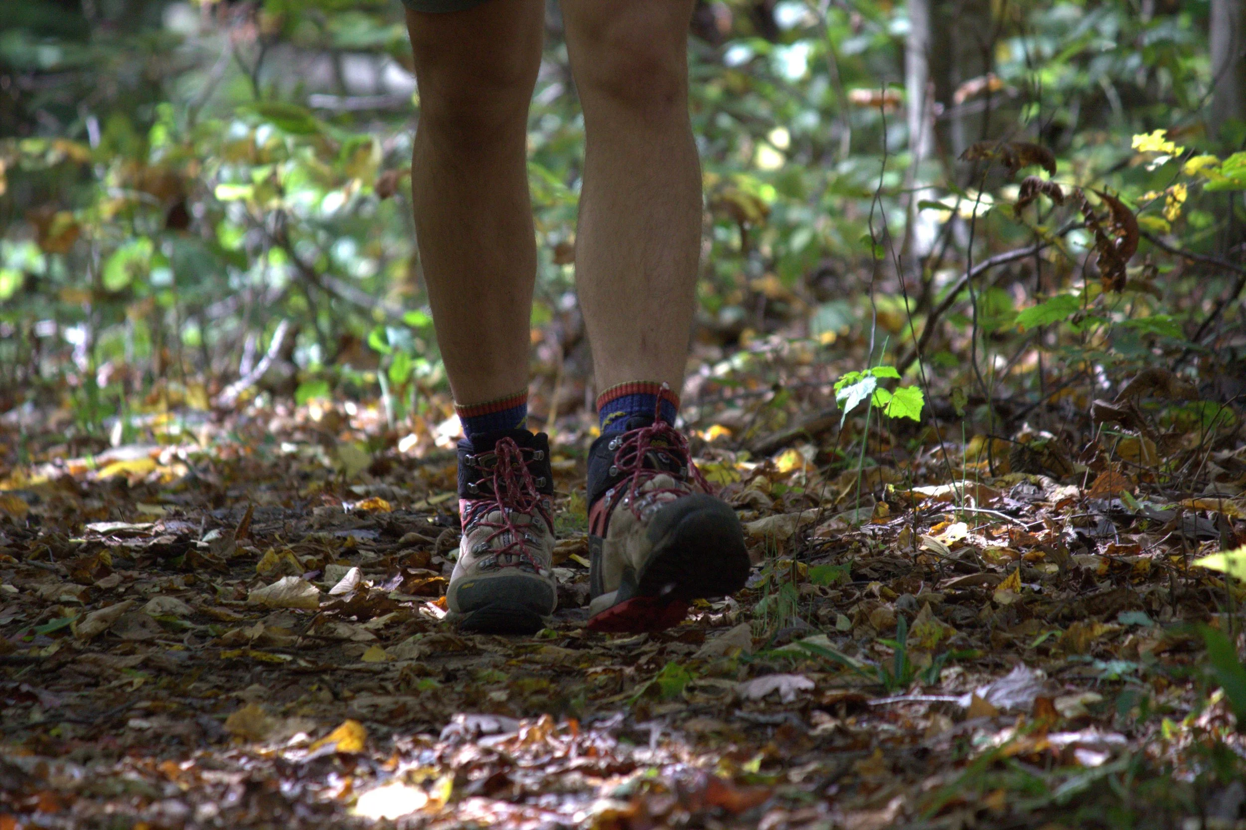 Feet in the Forest.jpg