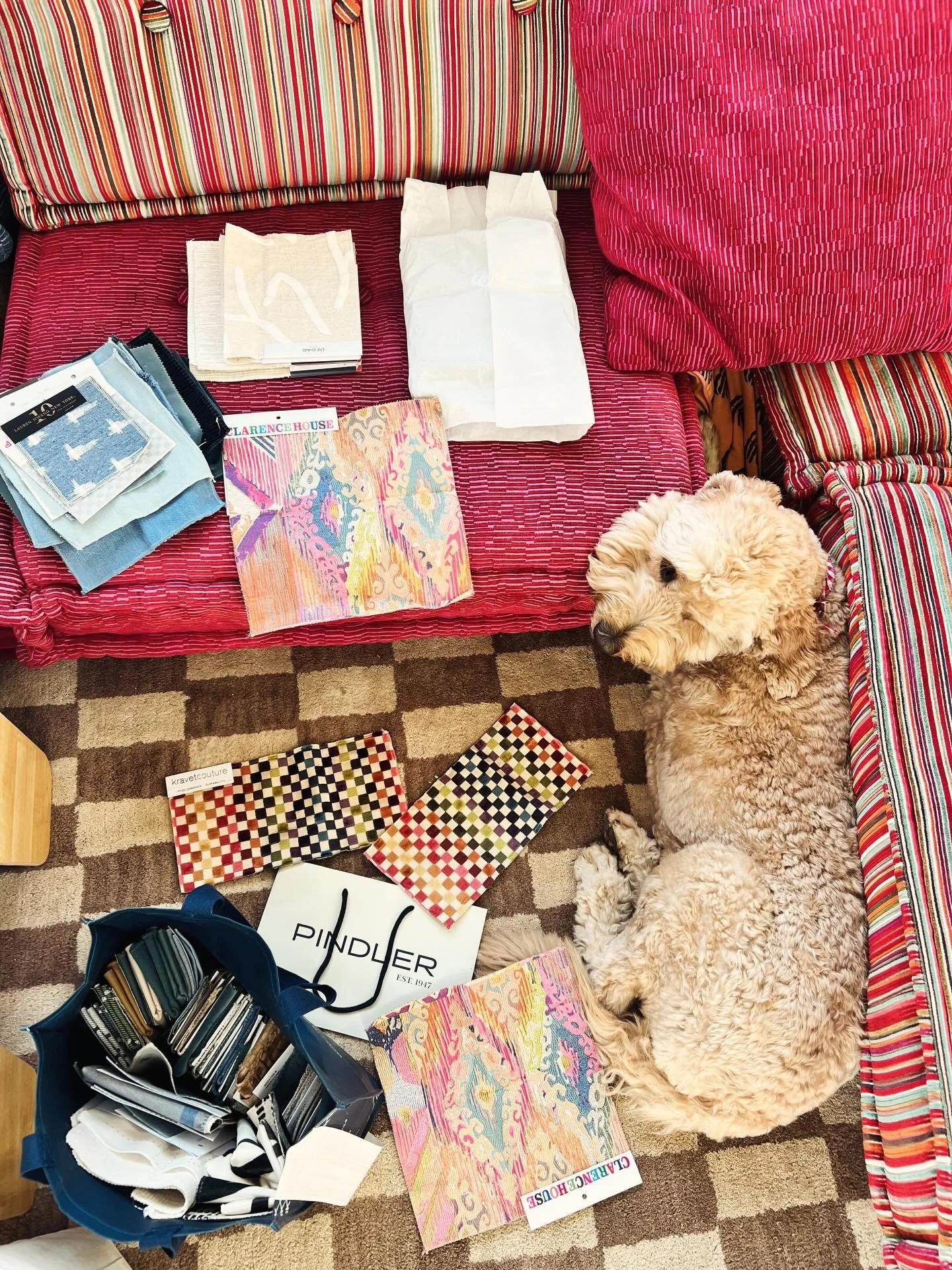 Cosmo and his fabric selections