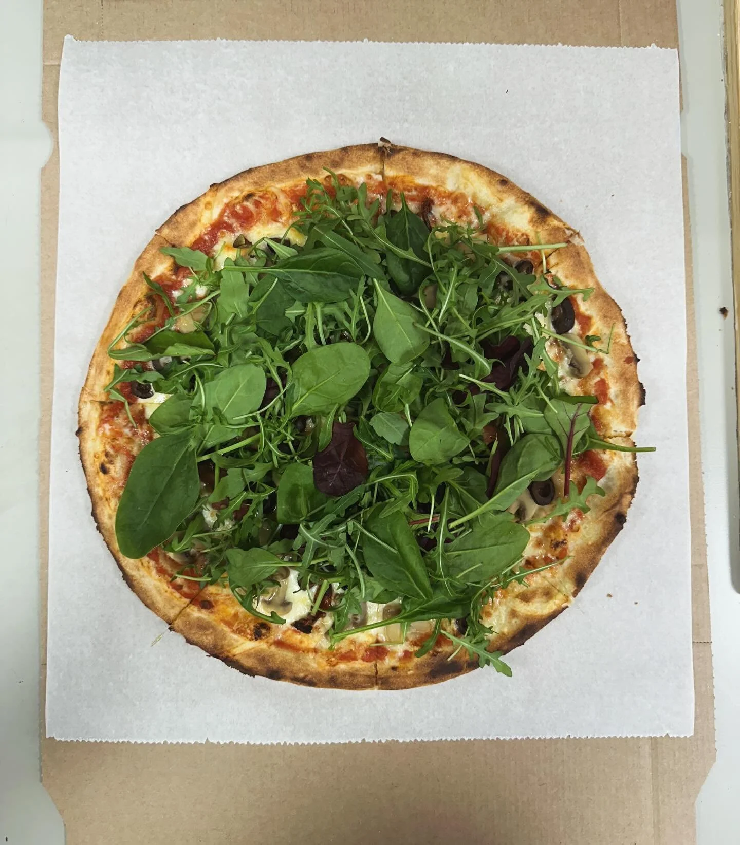 Paradise ✨🌿🌱🍃🪴