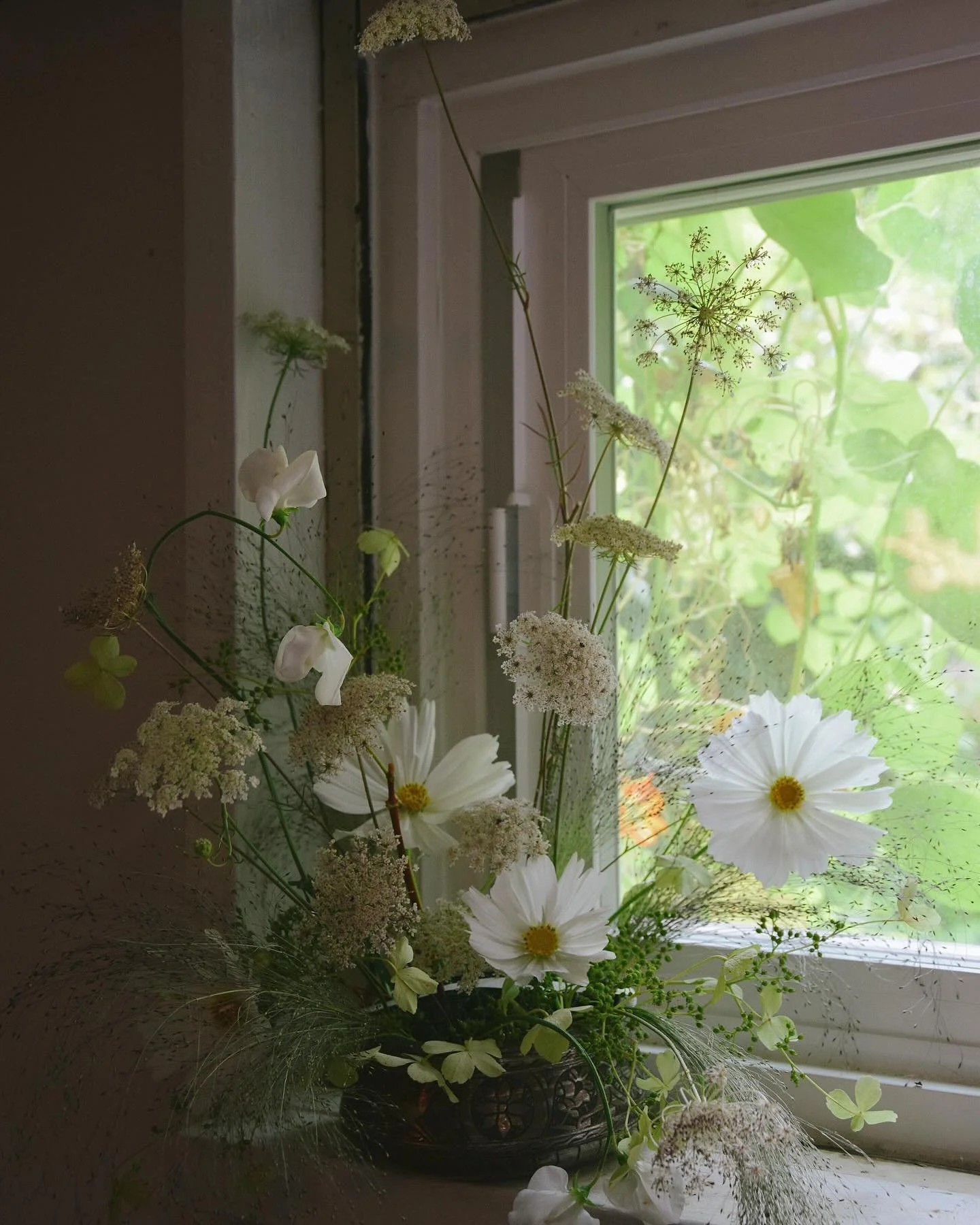august in flowers!! Overgrown cosmos, side of the highway Queen Anne&rsquo;s lace, grass that always makes my skin itch, and the last of the sweet peas 🤍

..
..
.
&hellip;
.
&hellip;
..
.
..
.
&hellip;
.
&hellip;
.
..
&hellip;..
.
..
.
.
..
#august 