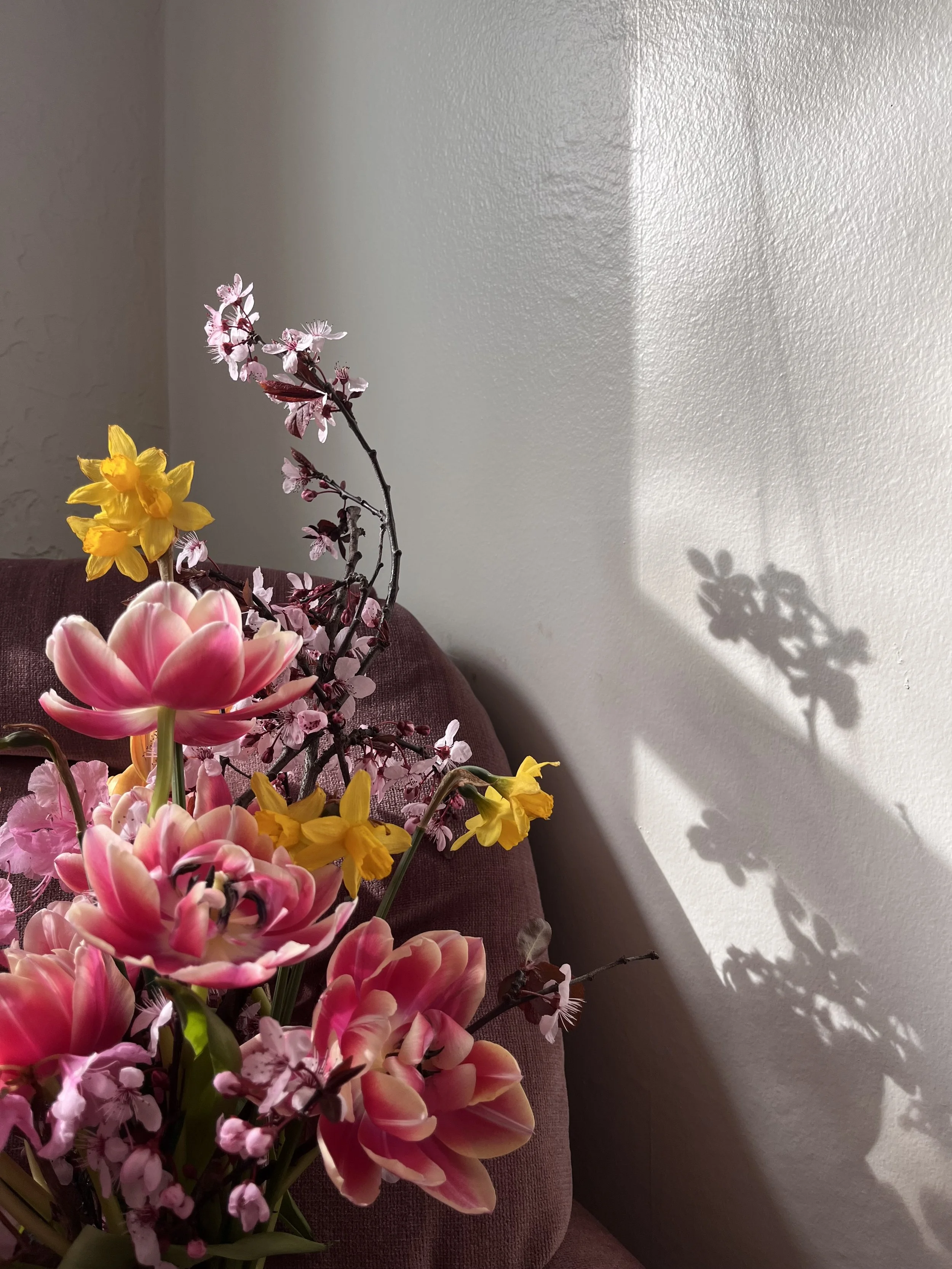 A bouquet of pink, yellow, and purple flowers on a purple sofa with the shadow of the flowers cast on a white wall.