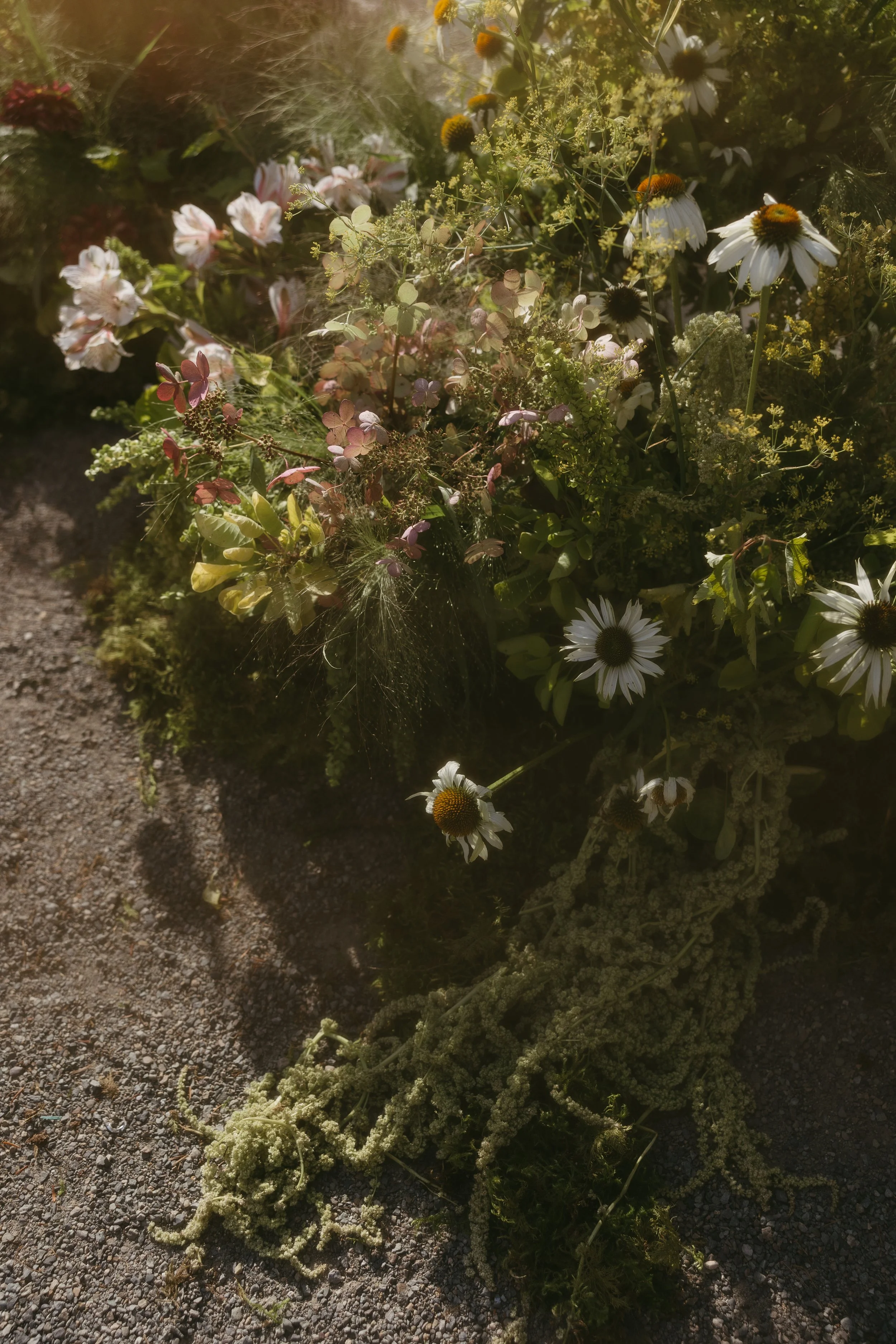 Bouquet of wildflowers including daisies, cosmos, and other small, colorful flowers on gravel ground.