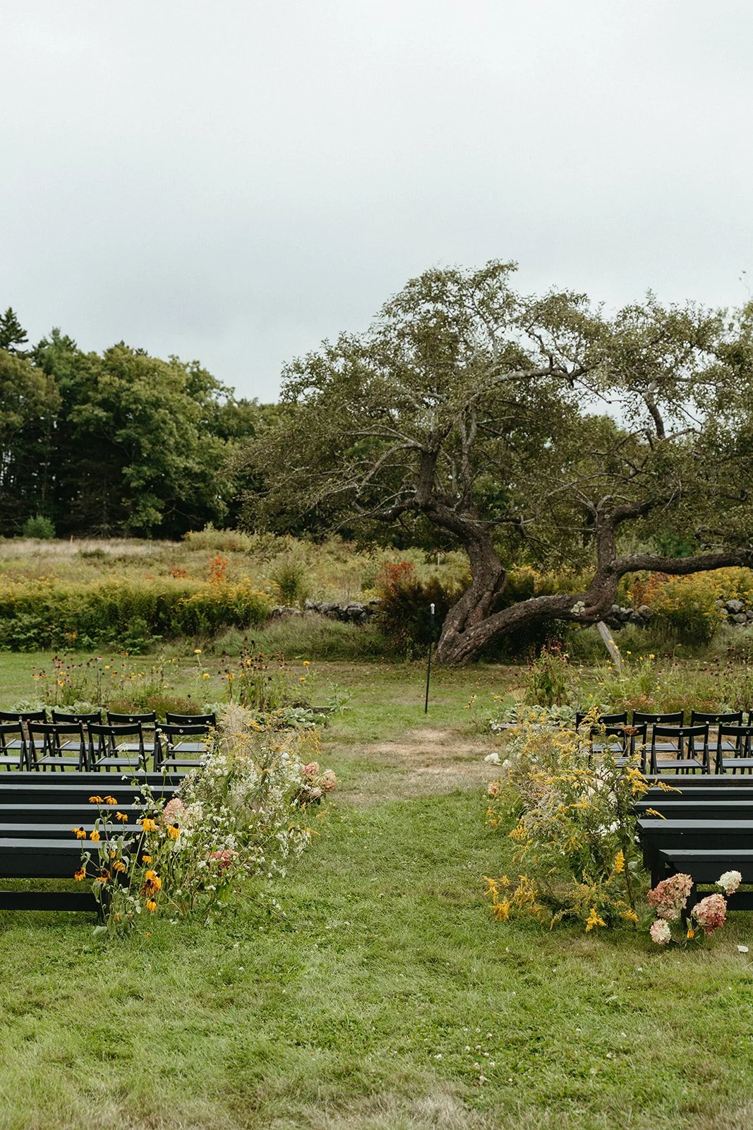 Lydia & Cole _ Ceremony-6_websize.jpg