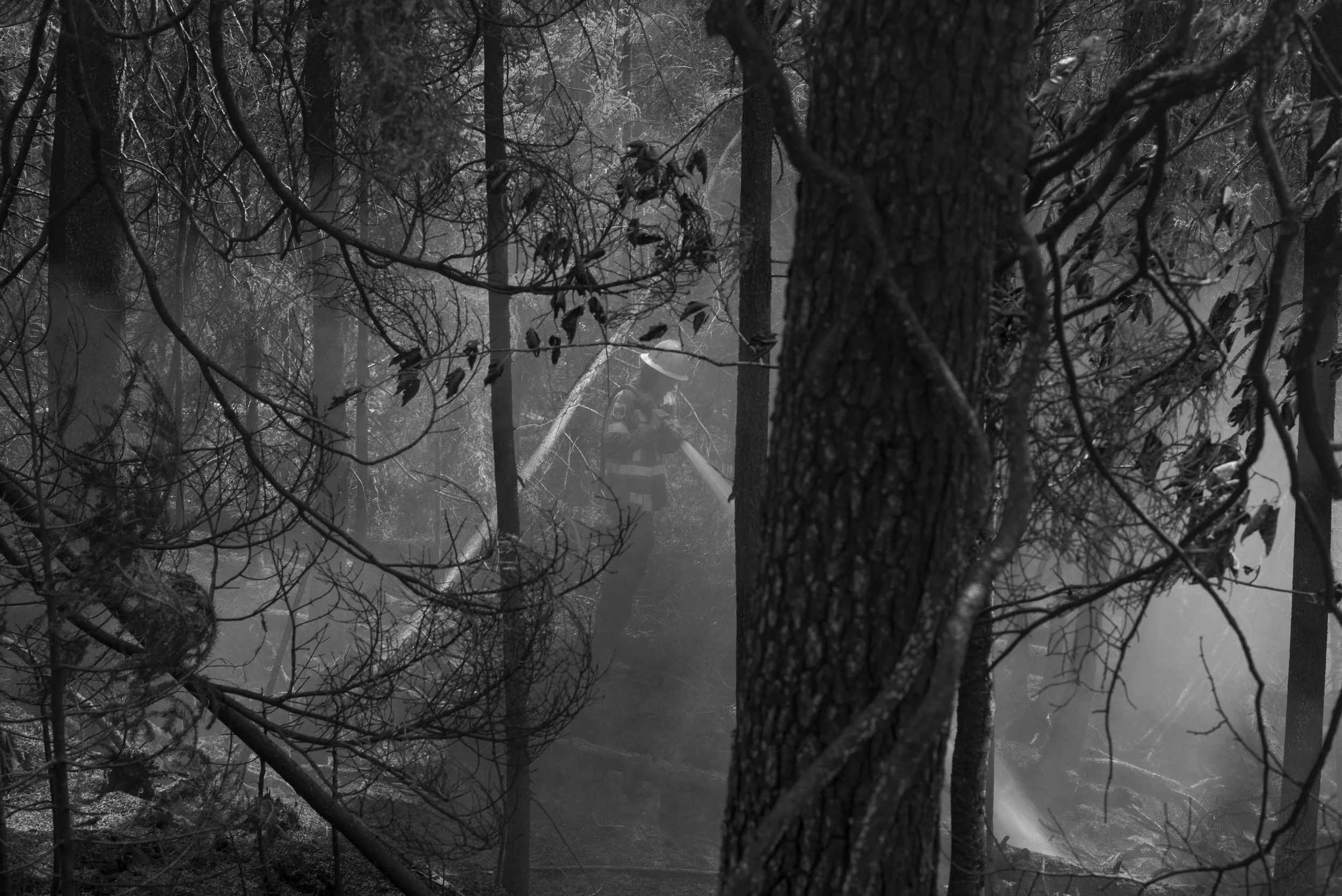 L1001668.jpg