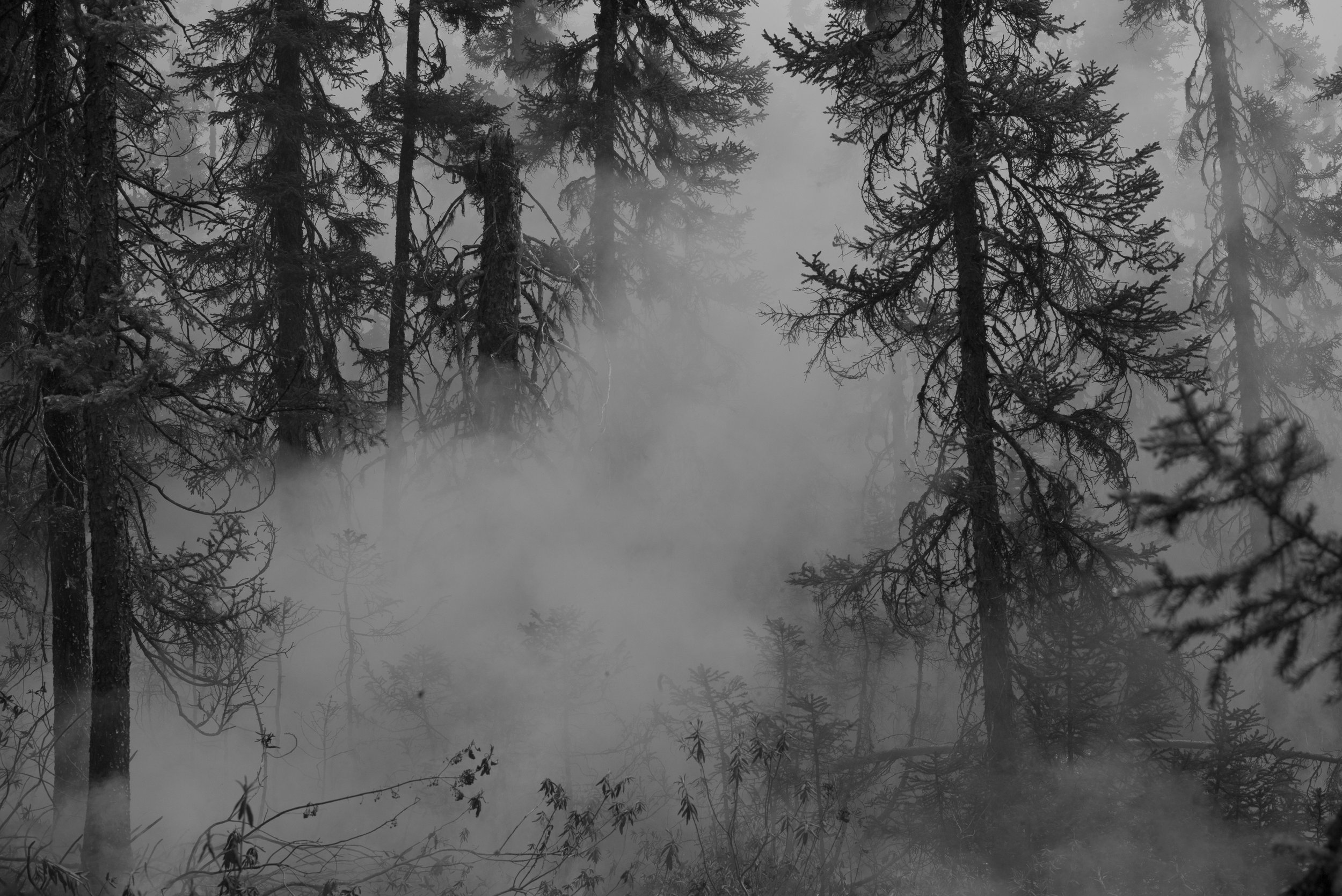 L1001360.jpg