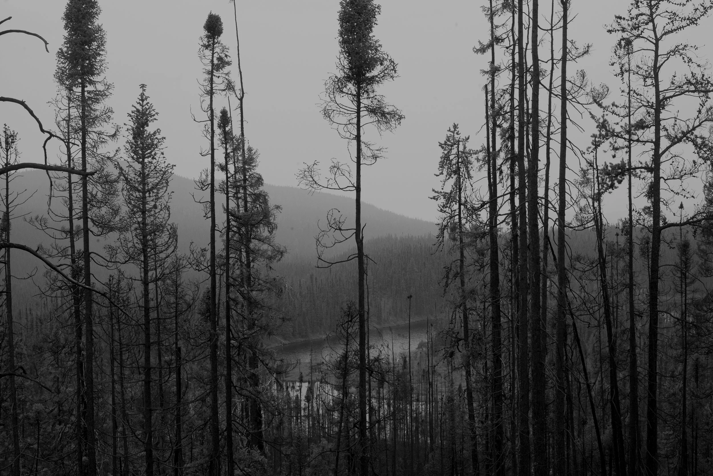 L1001371.jpg