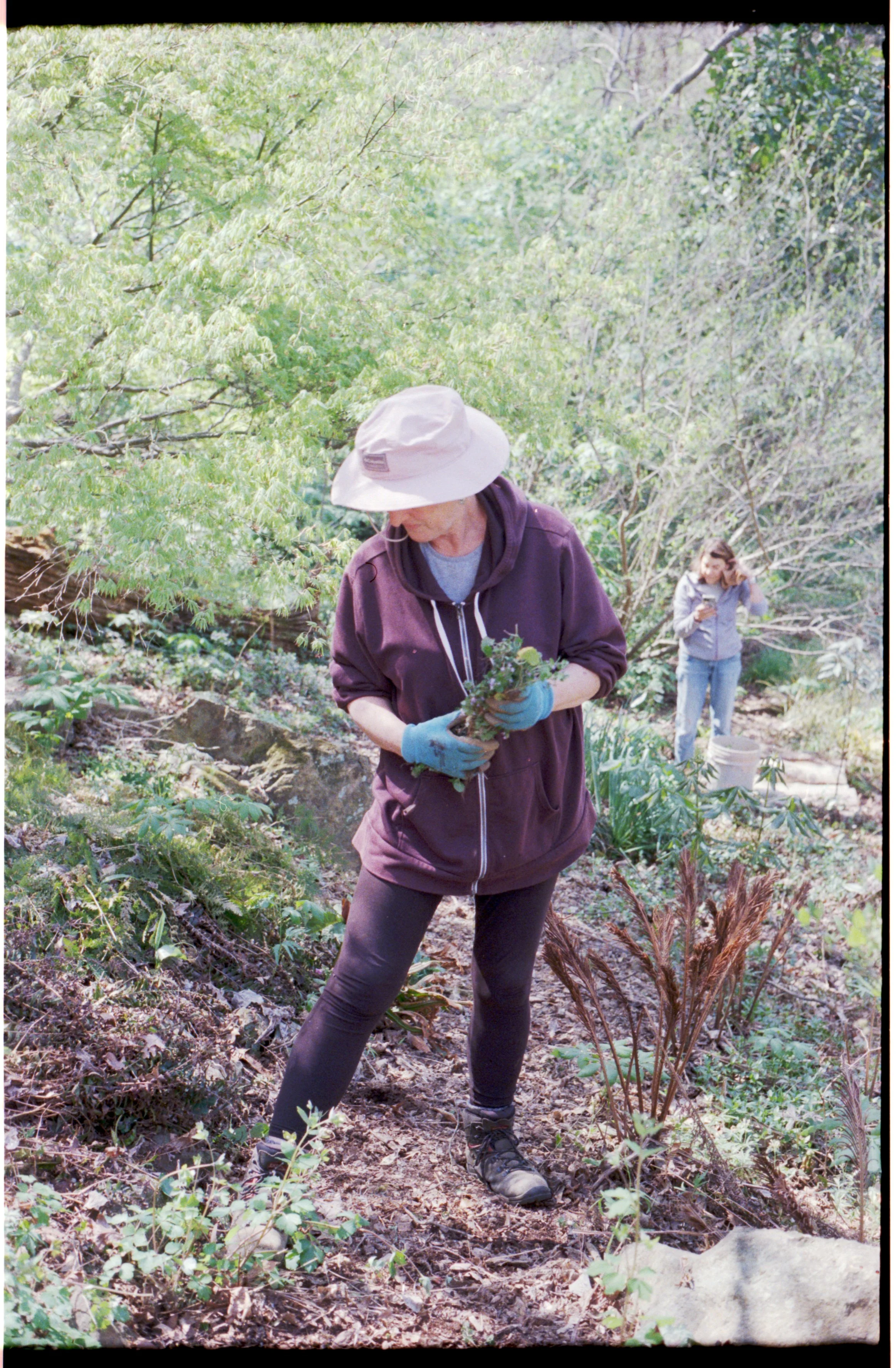 Image 8566.jpg