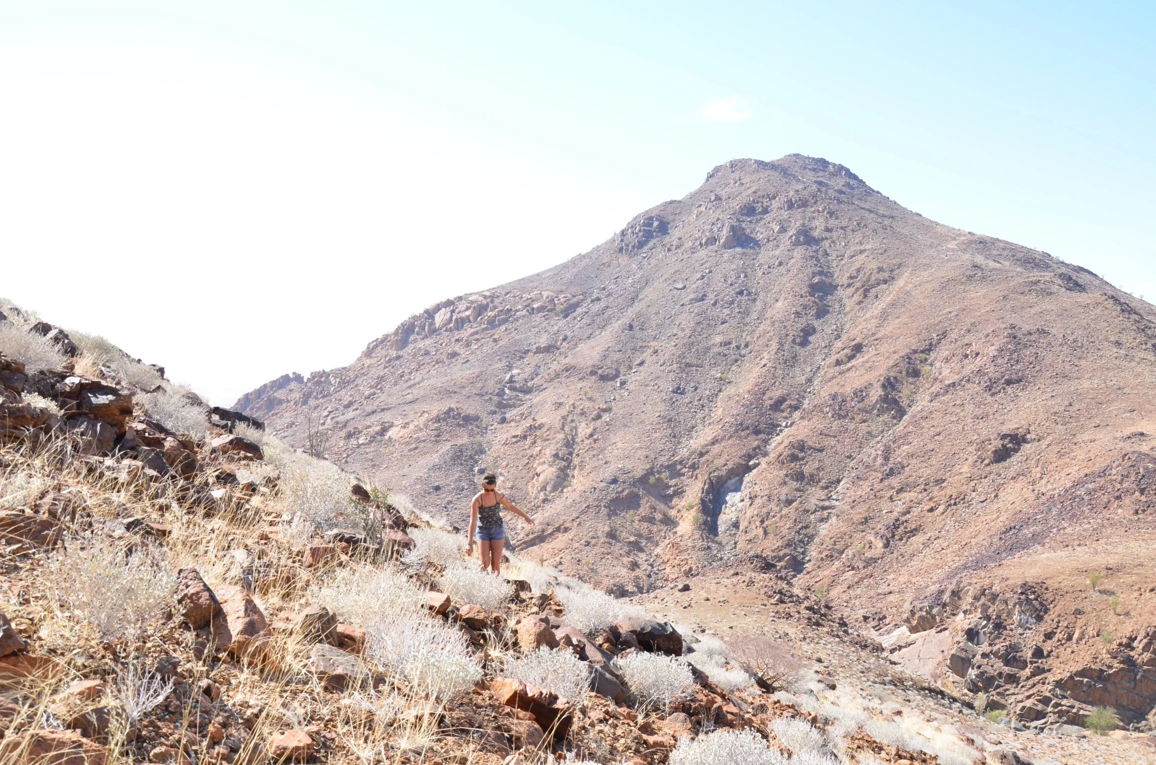 IMG_1908.JPG