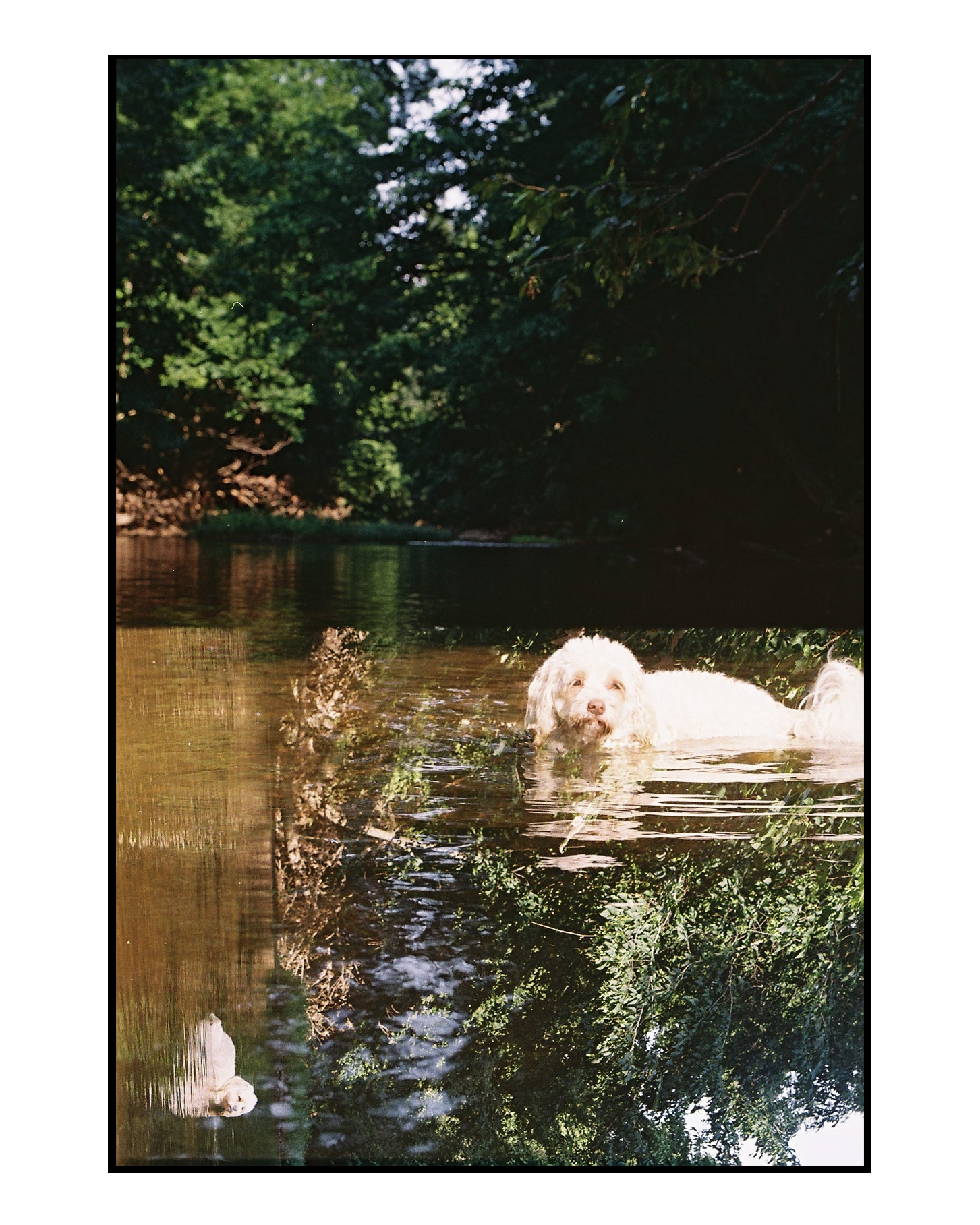 IMG_6653 copy.png