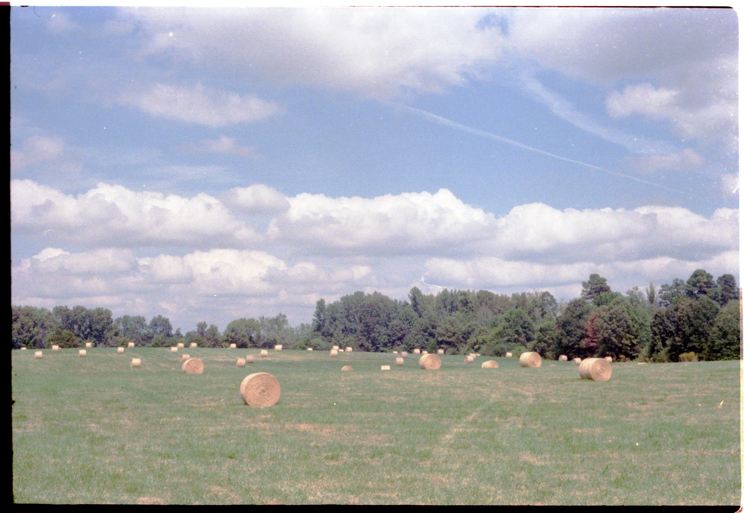 Image 8575.jpg