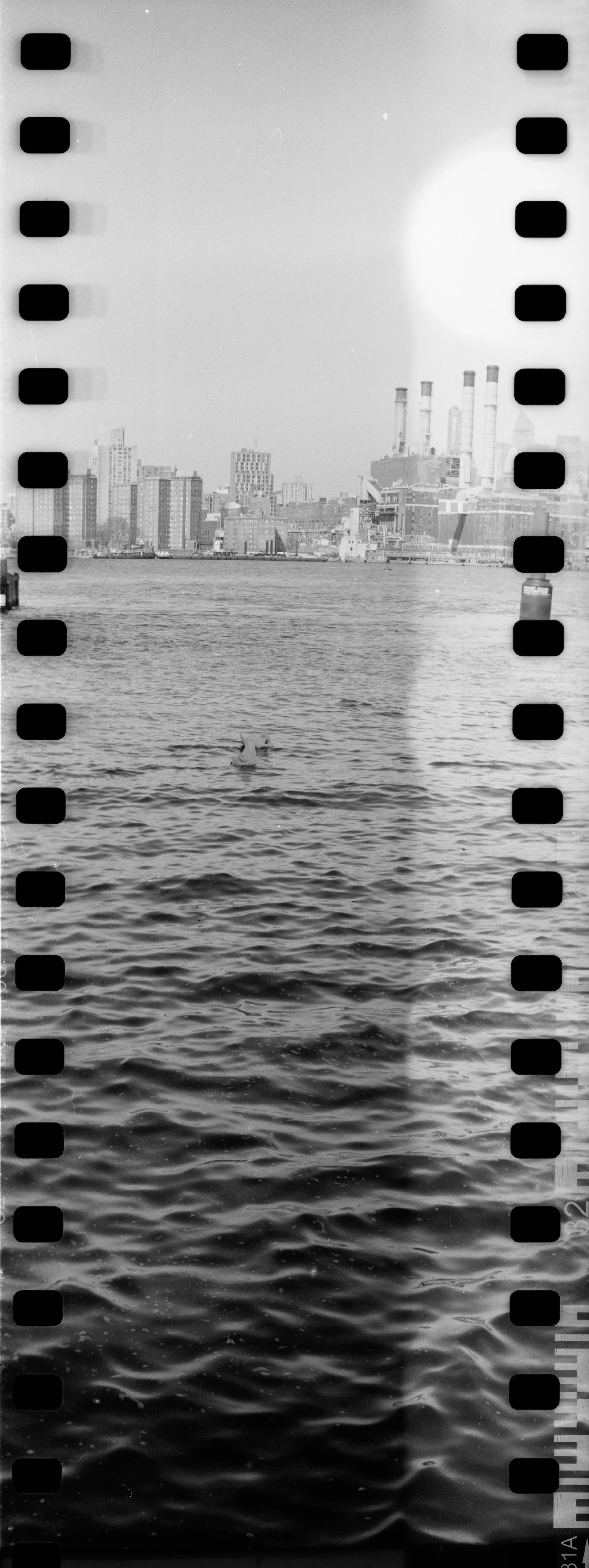 Image 8530-2.jpg