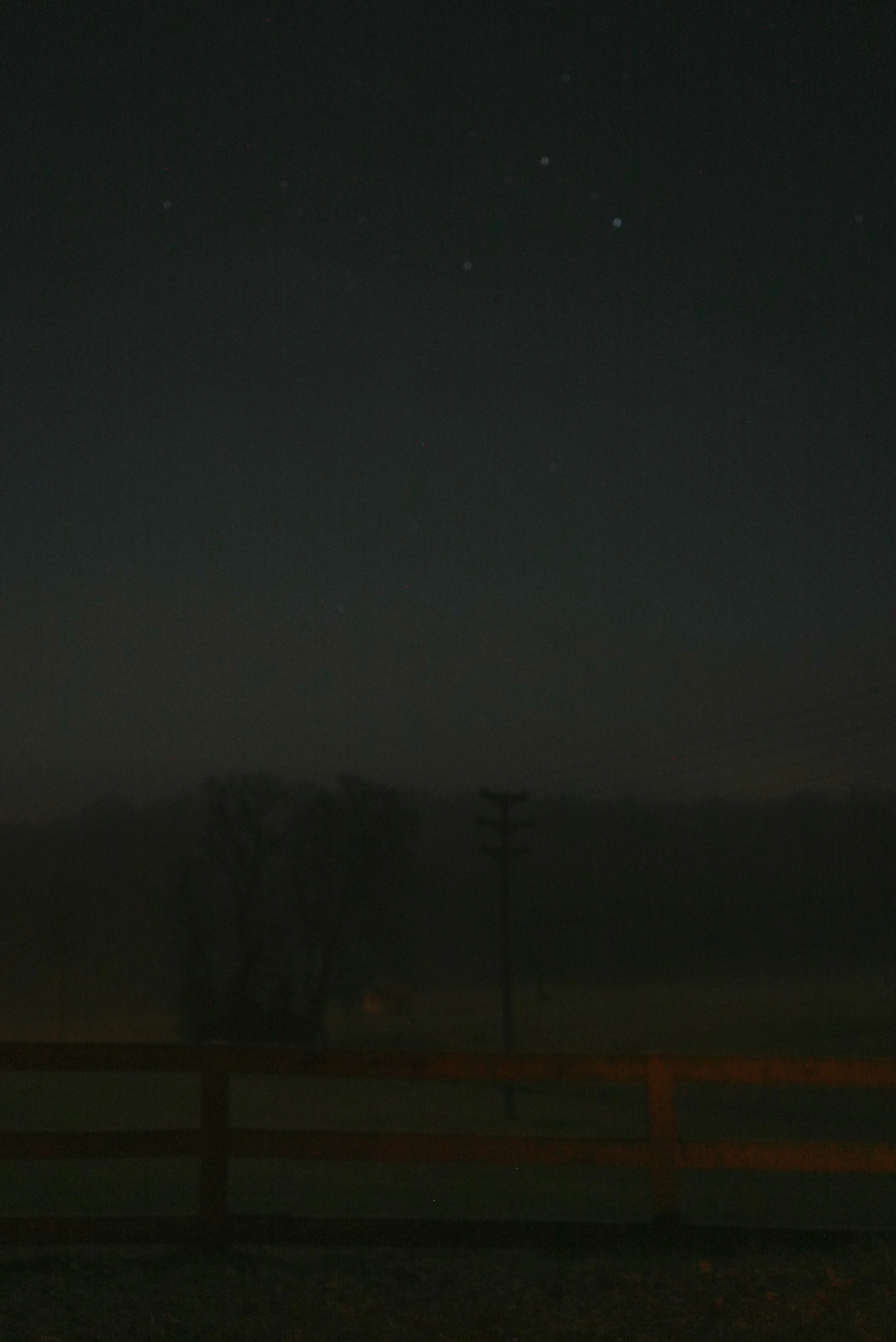 DSC00855.jpg