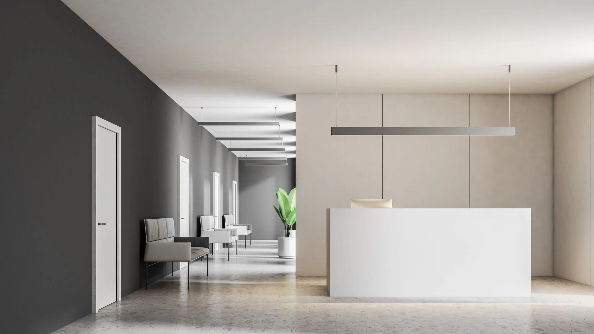 Minimalist interior of a reception area with white and gray walls, a white reception desk, black chairs along a gray wall, and a potted plant.