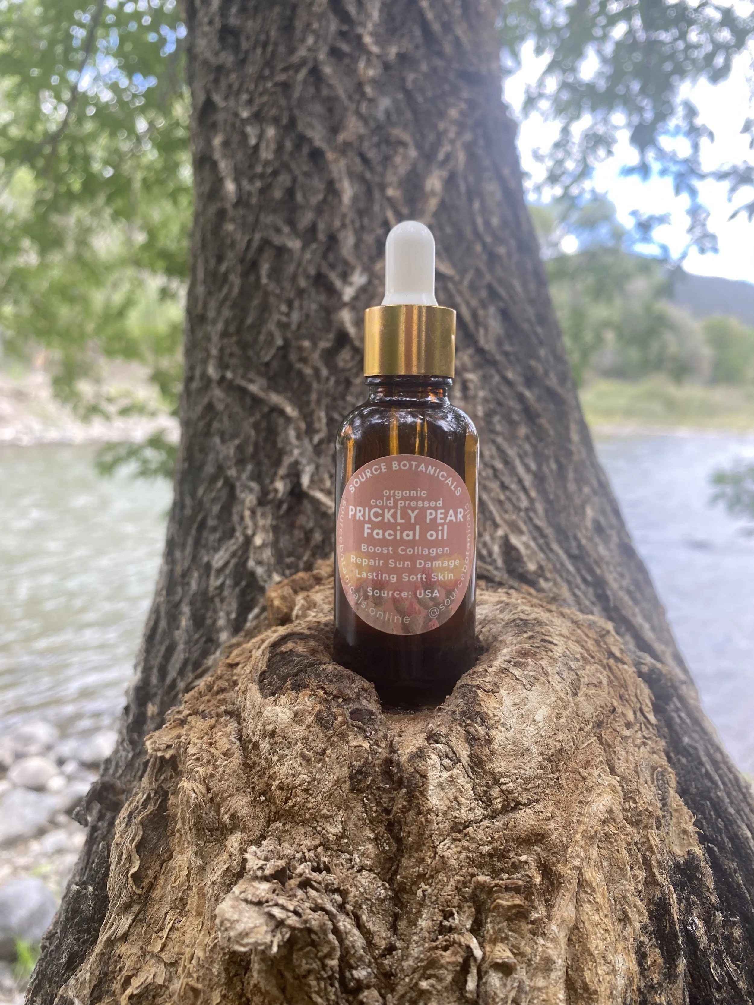 Organic Prickly Pear Seed Oil