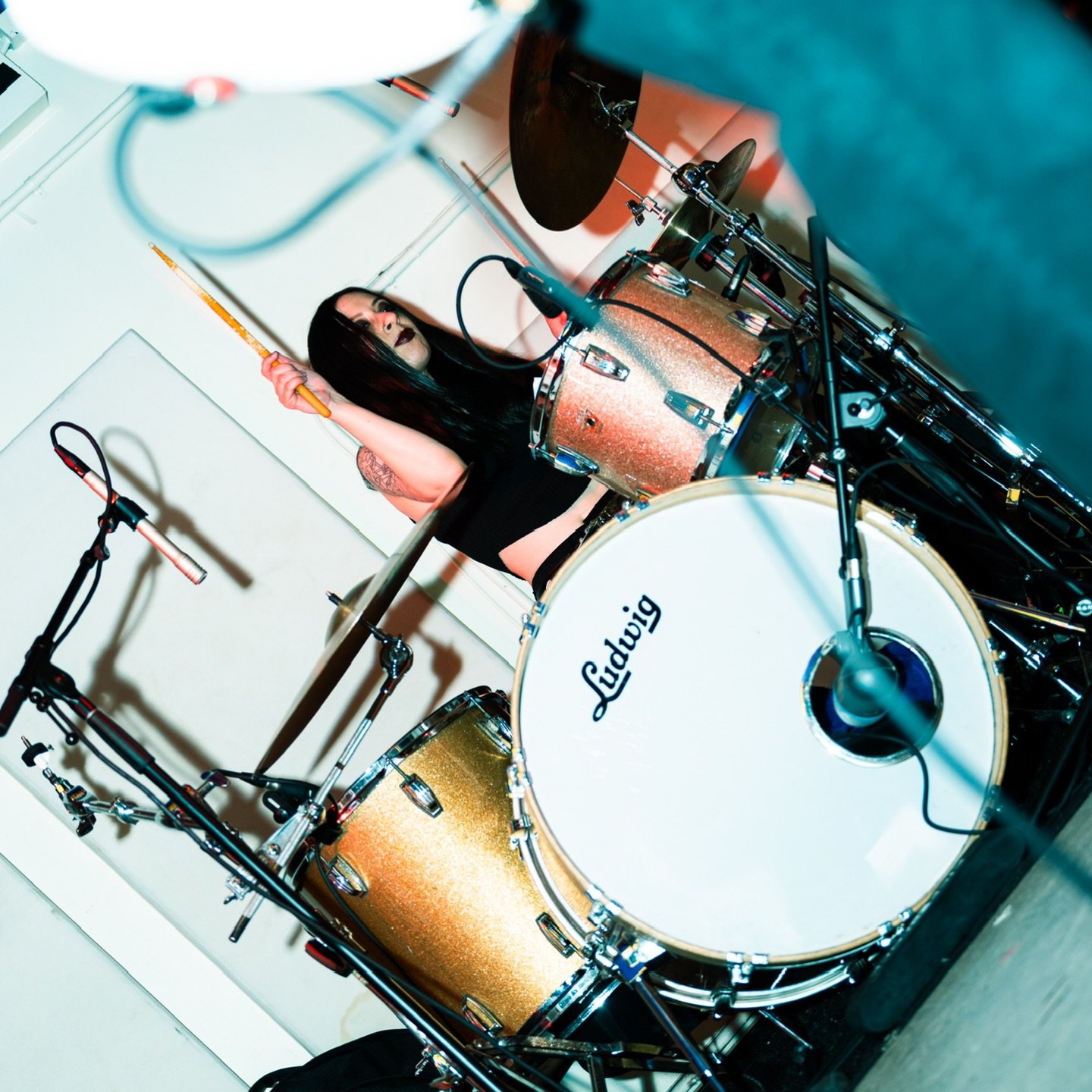 Next gig is one for the animals! 🐱🐶🐰🐹 Join us Fri 3/6 at @gutterbar where we&rsquo;ll be raising money for @nycacc alongside our pals @fridakillkills @cheapdeath.bk and @nihiloceros! We&rsquo;ll be raffling off prizes, there will be a free animal