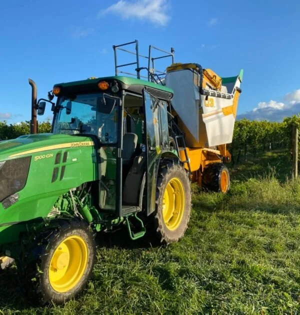 Chardonnay harvest machine
