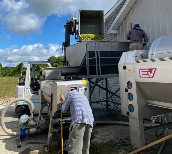 Loading hopper to start processing fruit