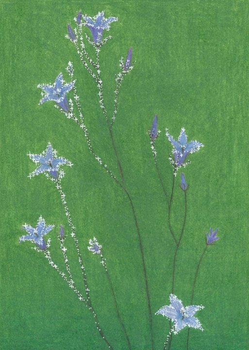 Crystal harebells low res.jpg