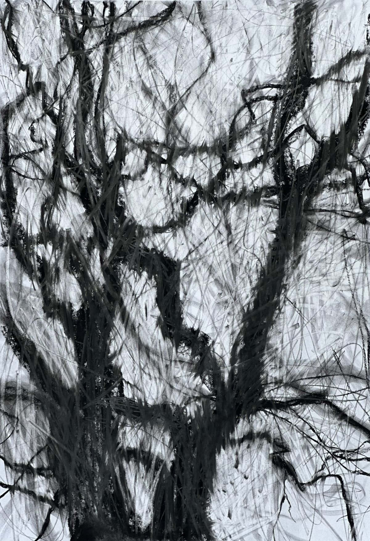 Tree Portraits 4