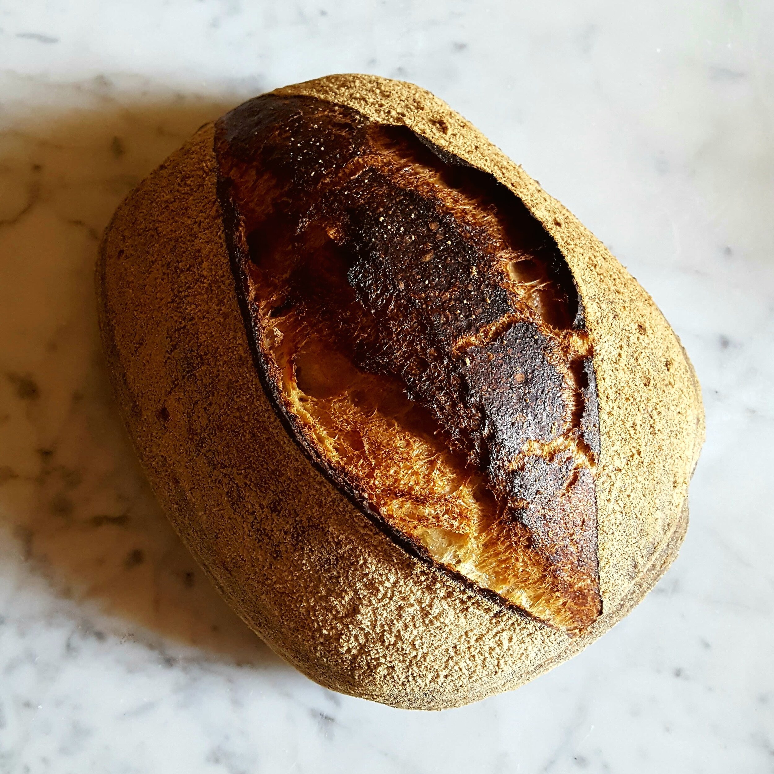 20180813_200842.jpg (Copy)