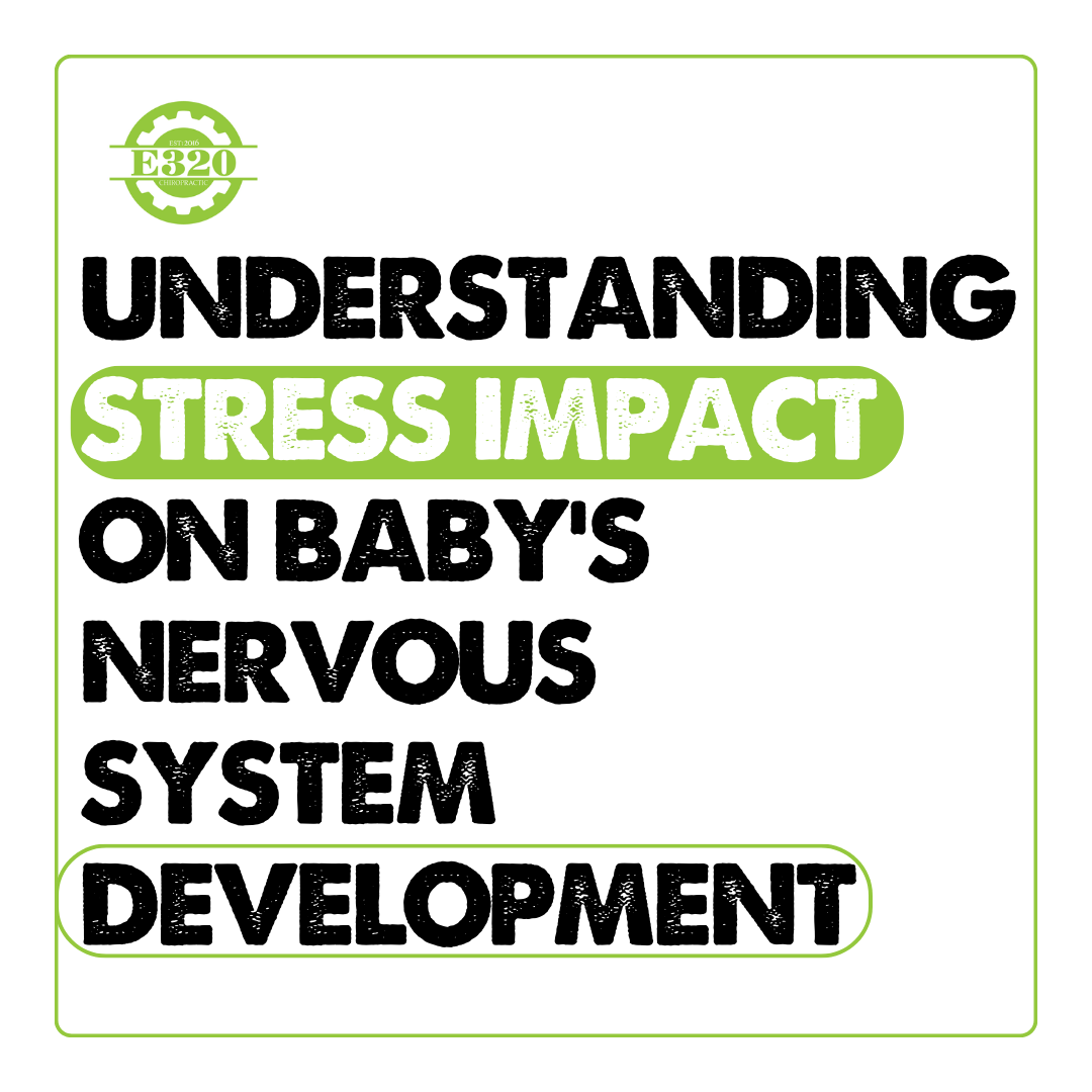HRV Insights: Understanding Stress Impact on Baby's Nervous System Development