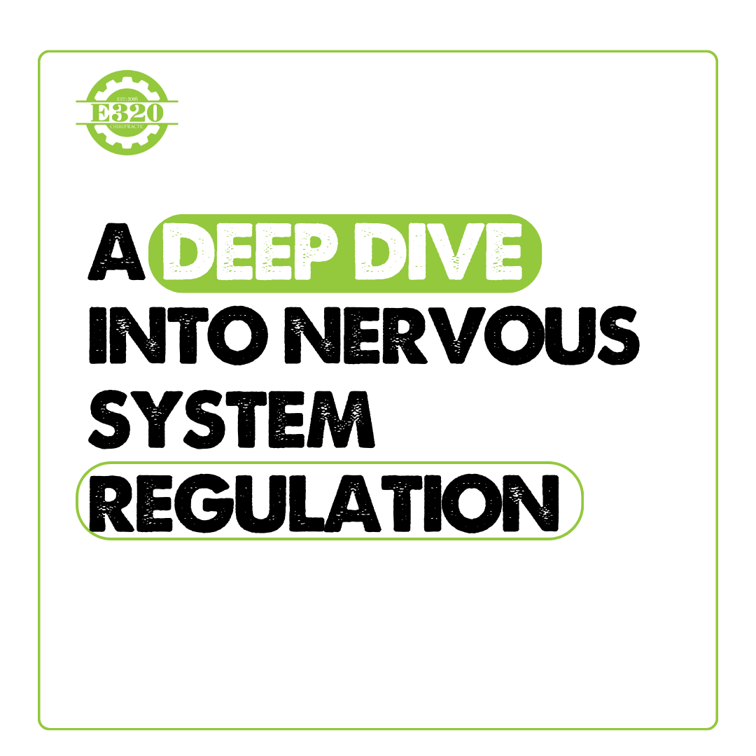 A Deep Dive into Nervous System Regulation