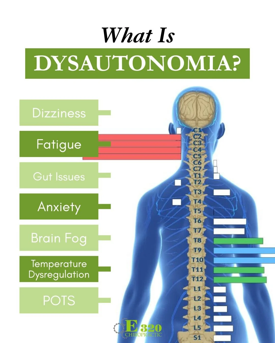 Your child&rsquo;s labs came back &ldquo;normal&rdquo;&hellip; but your mom gut is still waving a giant red flag. 🚩

Dysautonomia can be sneaky because it affects how the nervous system regulates things like heart rate, digestion, sleep, immune func