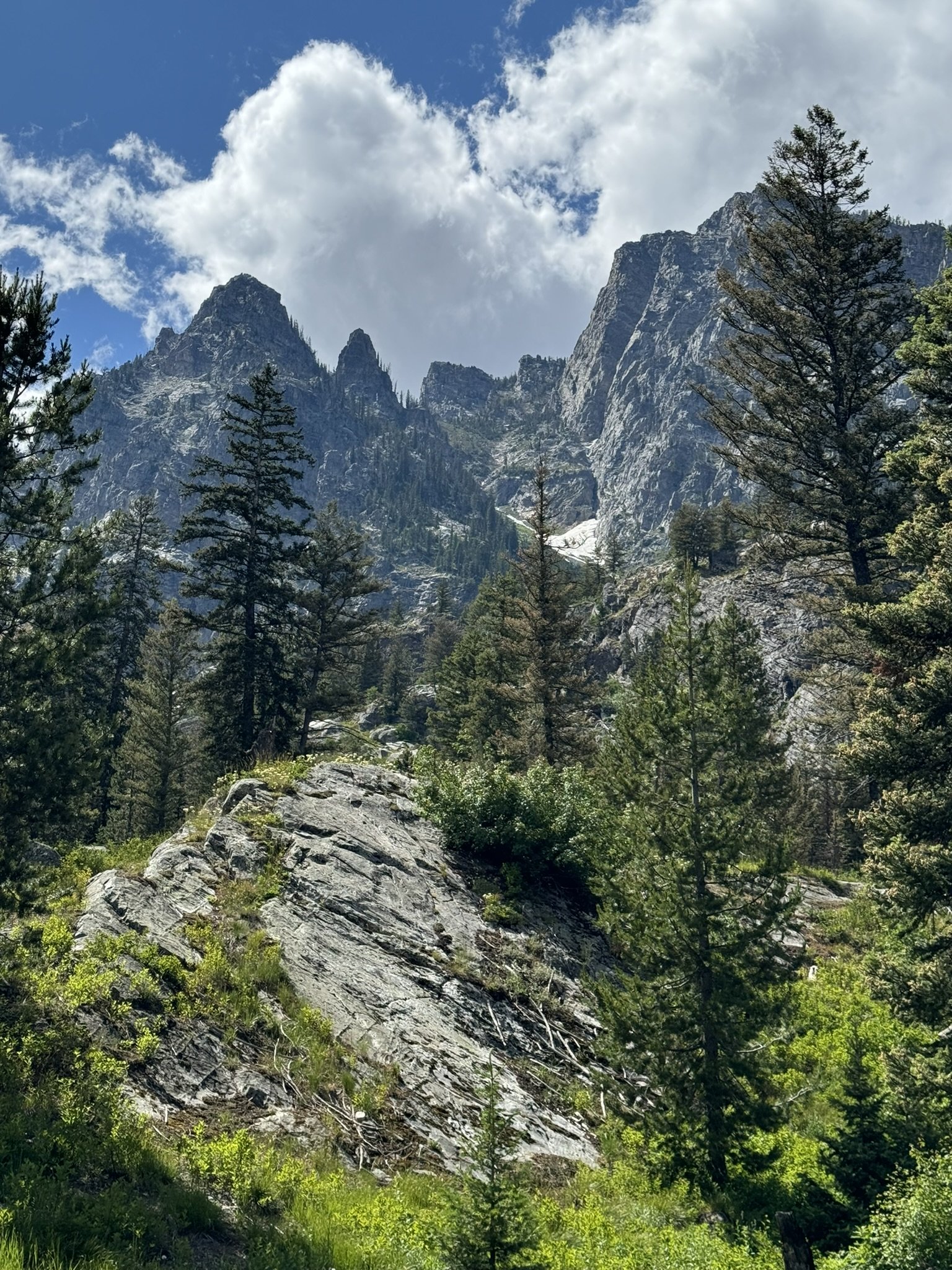 Grand Teton National Park