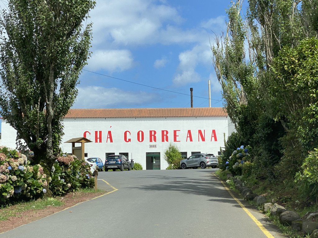 Che Gorreanna Tea Plantation