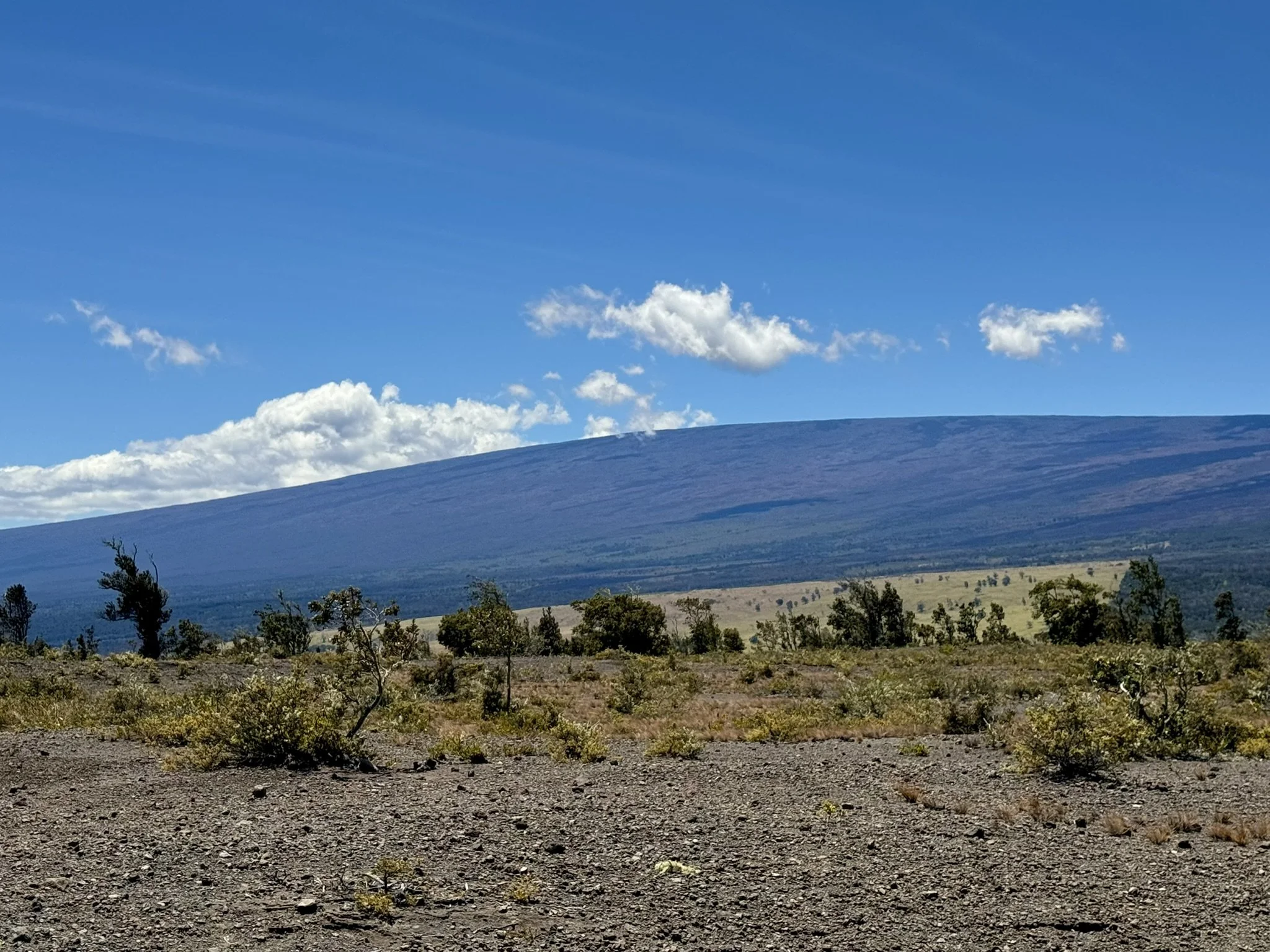 Crater Rim Trail Scenery